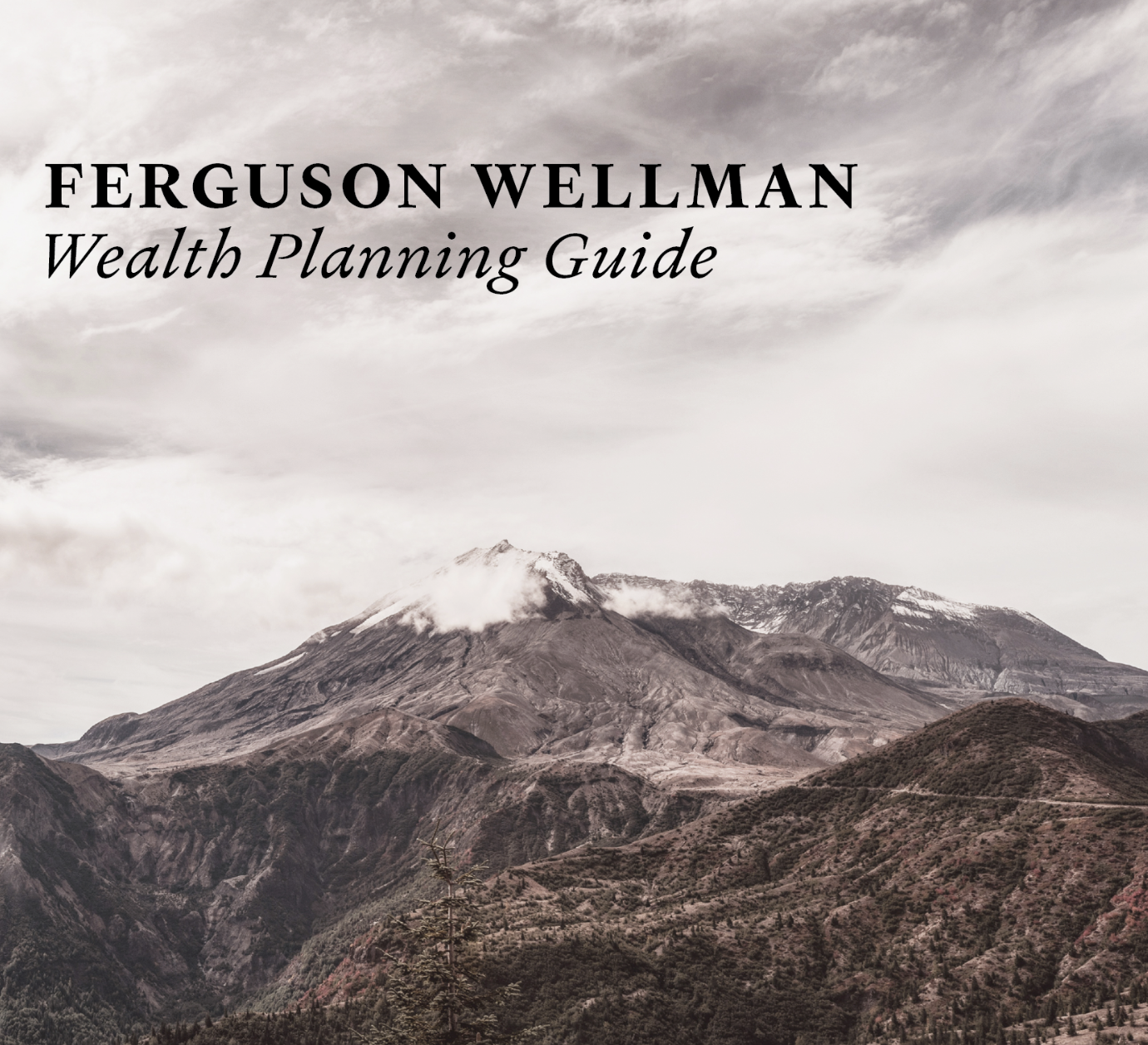2026 Wealth Planning Guide