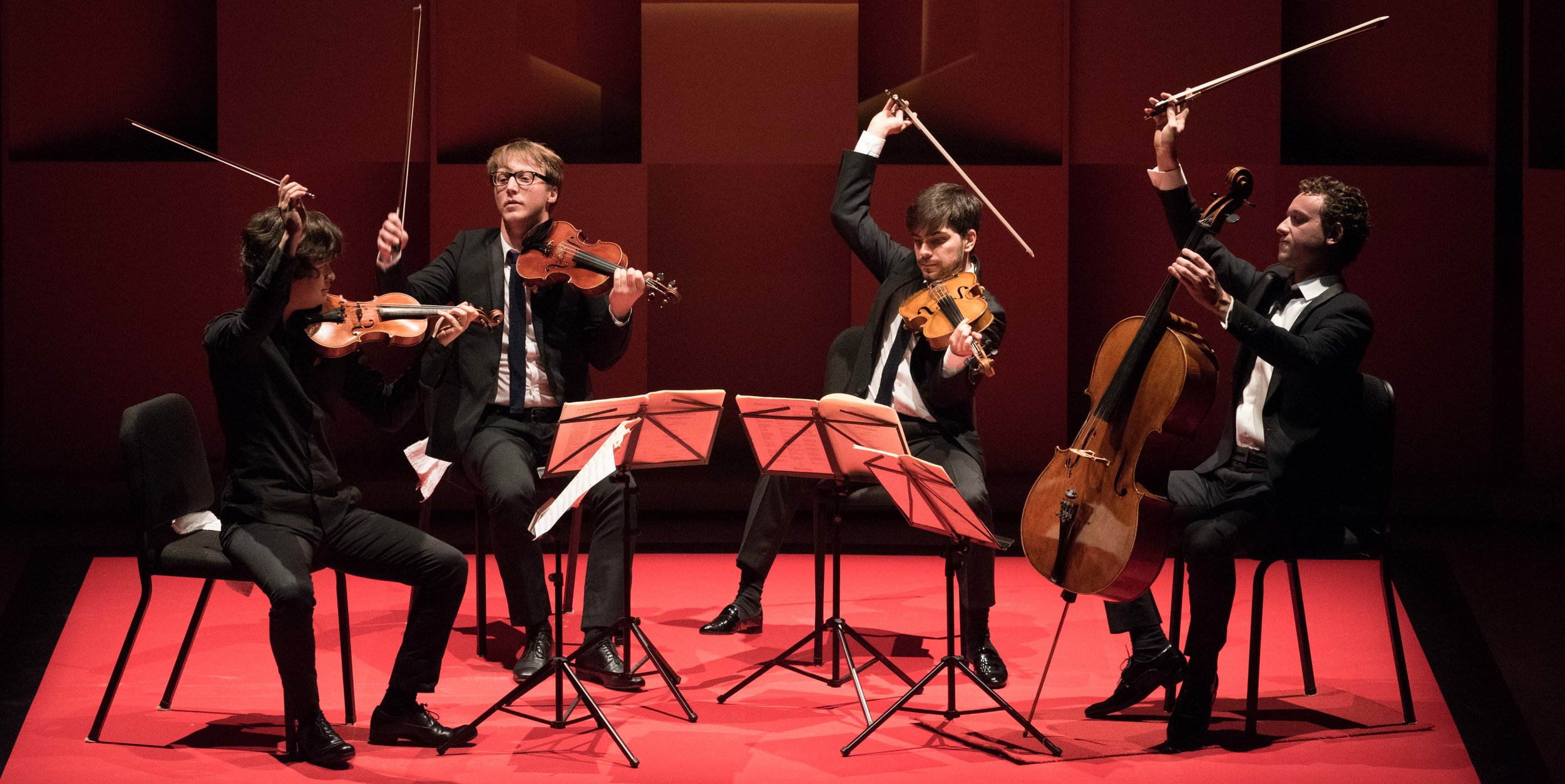 quatuorvankuijk2-radrienv.jpg