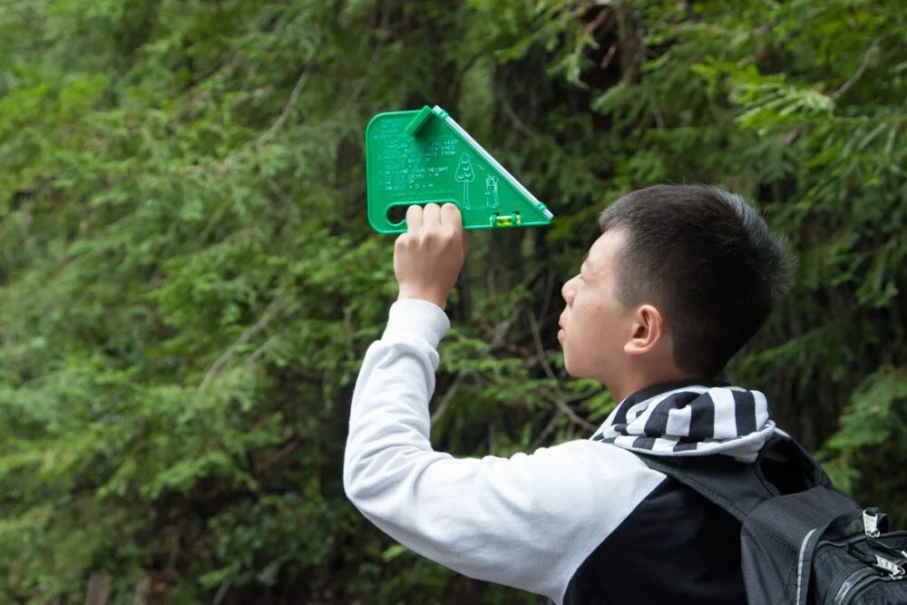 Students measure the height of redwoods during their WOLF School field trip to Big Basin Redwoods State Park.