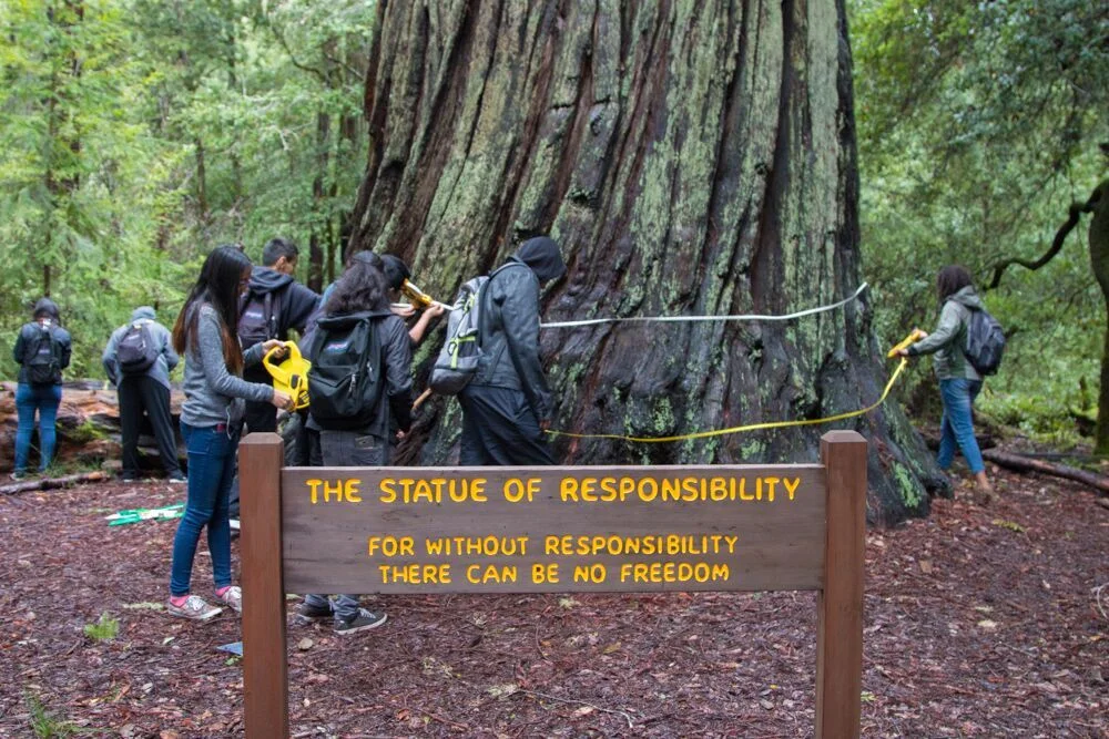 Sempervirens Fund brought students from Andrew P. Hill High School to Big Basin Redwoods State Park to experience the legacy of their school's namesake, and to inspire the next generation of redwood stewards.