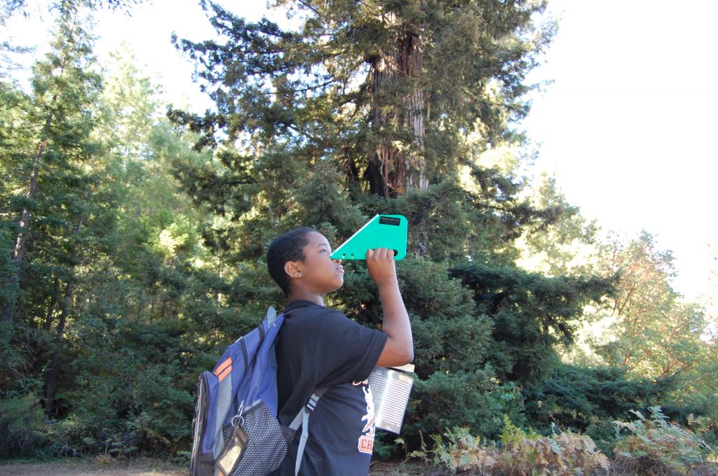 Redwood Study During WOLF School's California Outdoor Science School Program.JPG