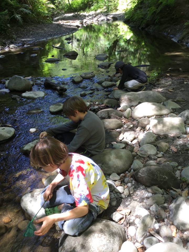 WOLF School Creek Study During Outdoor Science School.jpg