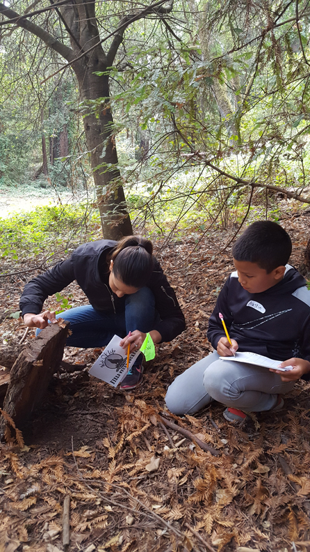 WOLF School Salamander Study at Camp Monte Toyon.jpg