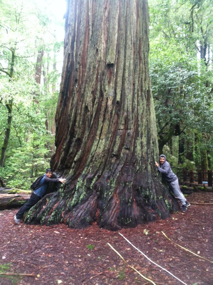 WOLF School Students Hugging a Redwood at Big Basin.jpg