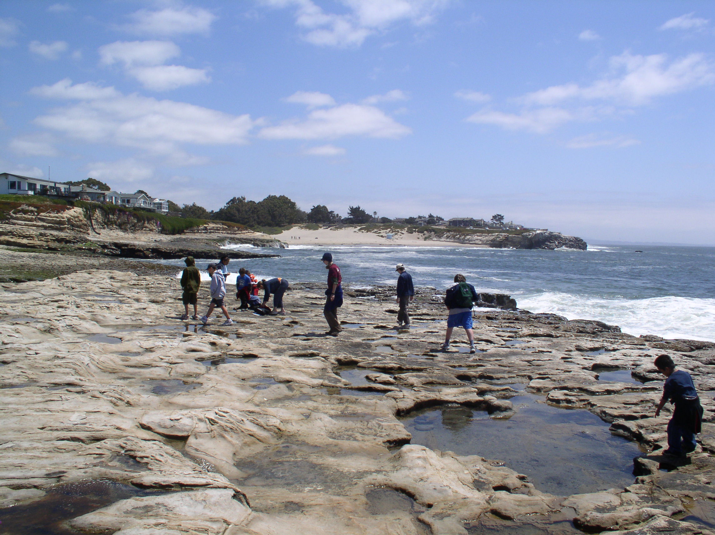 Tide Pool Studies During CA Living History Program.JPG