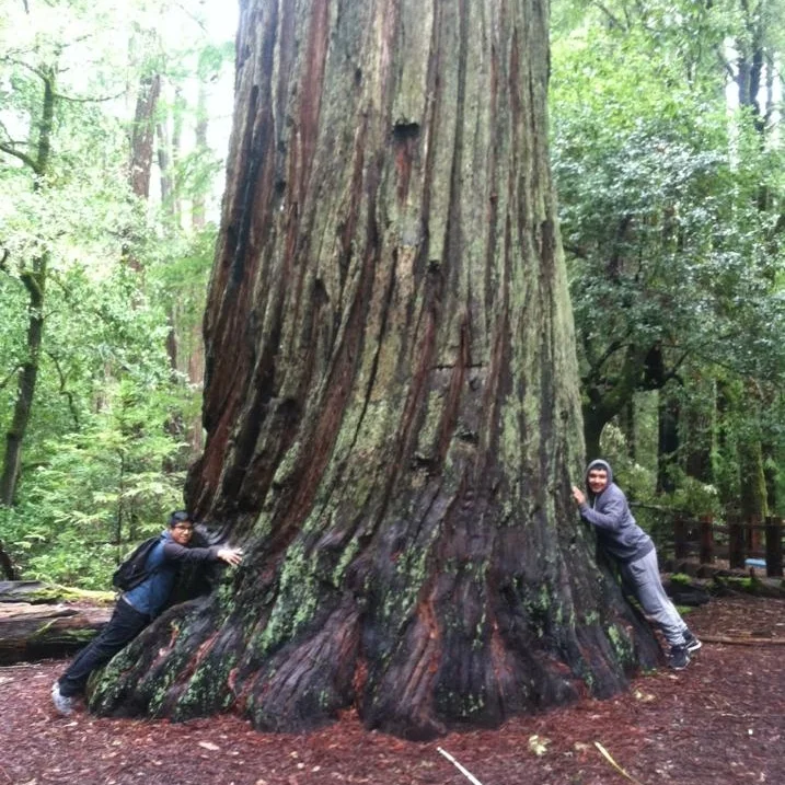 WOLF School Students Hugging a Redwood at Big Basin.jpg