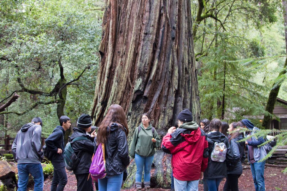 Andrew Hill High School at Big Basin with WOLF School_Photo Credit Sempervirens Fund.jpg