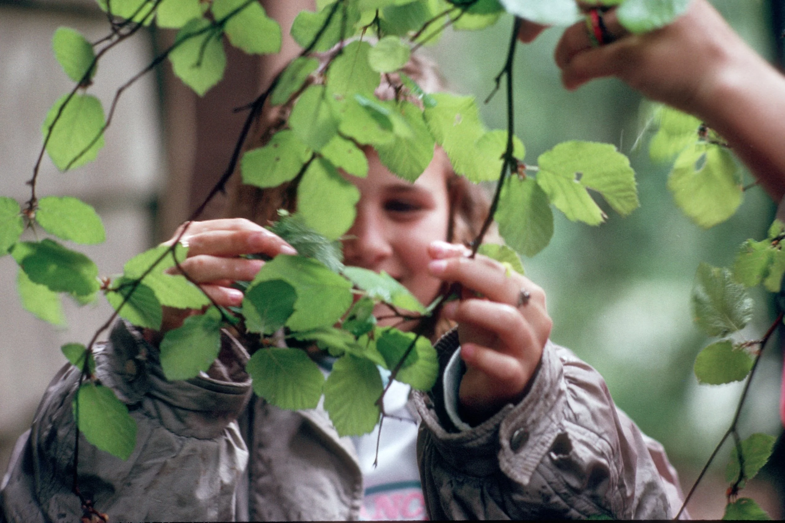 Looking at leaves-MT.jpg