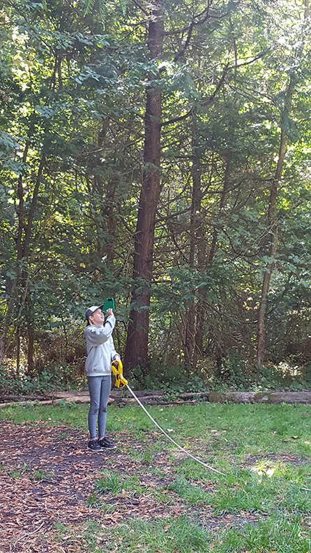 WOLF School Redwood Study at Camp Monte Toyon.jpg