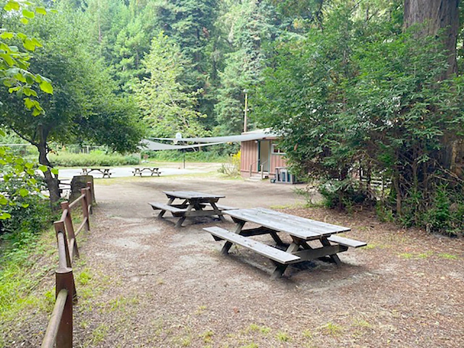 What's Up Wolf School?