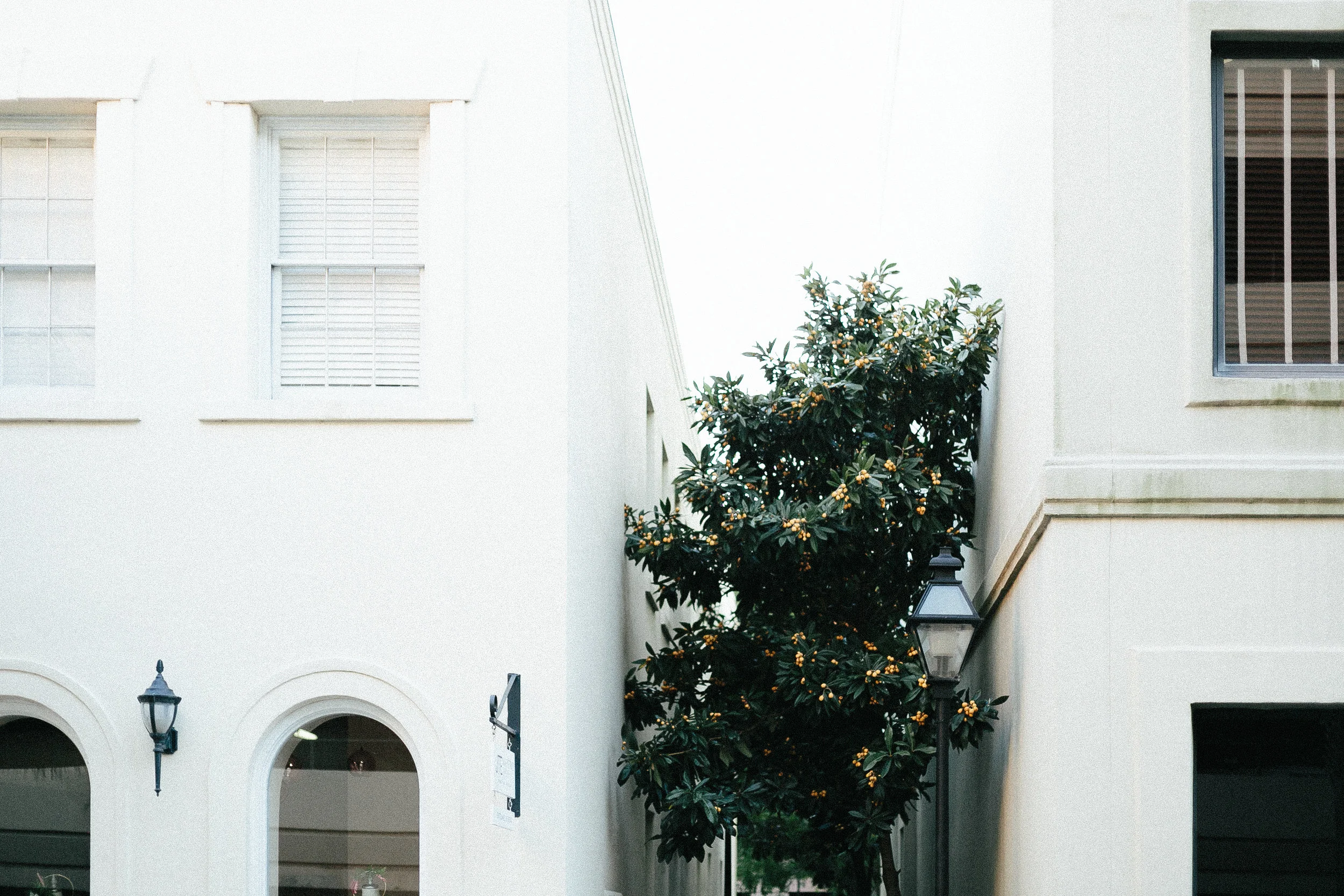 You guys... This place is stunning! If you have never been before, I seriously encourage you to GO! You see gorgeous colors everywhere you look, and pastels are so my VIBE. My best friend moved to Charleston for a graphic design job and I have already been down there to visit her twice; I have fallen completely in love. She has such a cool gig, she can walk everywhere & even walk or ride a bike to work if she wants. I miss her being in Ohio so much, but I definitely don't hate visiting her! It is such a historic city and, this time, we got to explore it with our moms. My mom is Emily's moms best friend, and Emily is my best friend... so it made for a pretty fun trip, obviously! Enjoy these pics, I hope it gives you a feel for how awesome this place is!