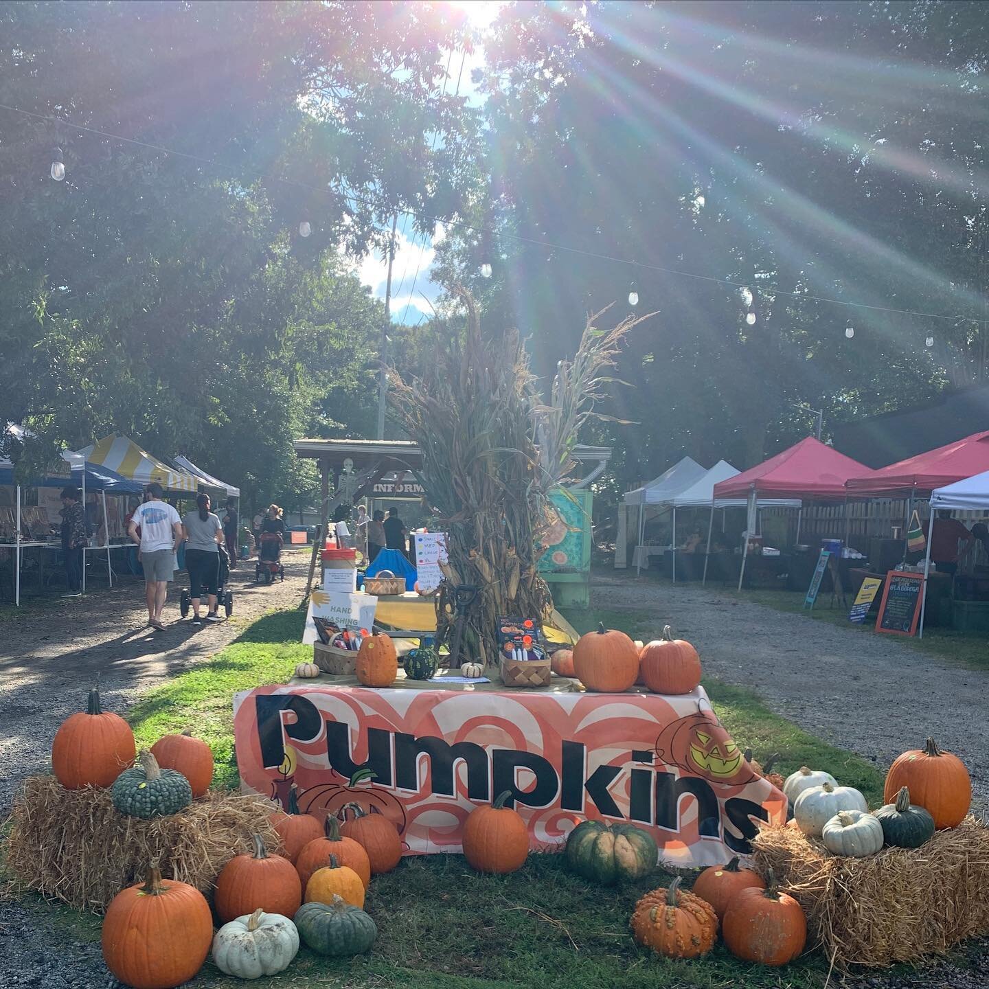 Get that early October weather with a side of seasonal charm! It&rsquo;s pumpkin day at the EAV farmers market 🎃 come check it out. #pumpkin #eav #squeakygreen #pumpkinpatch #fall #seasonschange ##jackolantern #fallinatl #atlanta #weloveatl #marketd