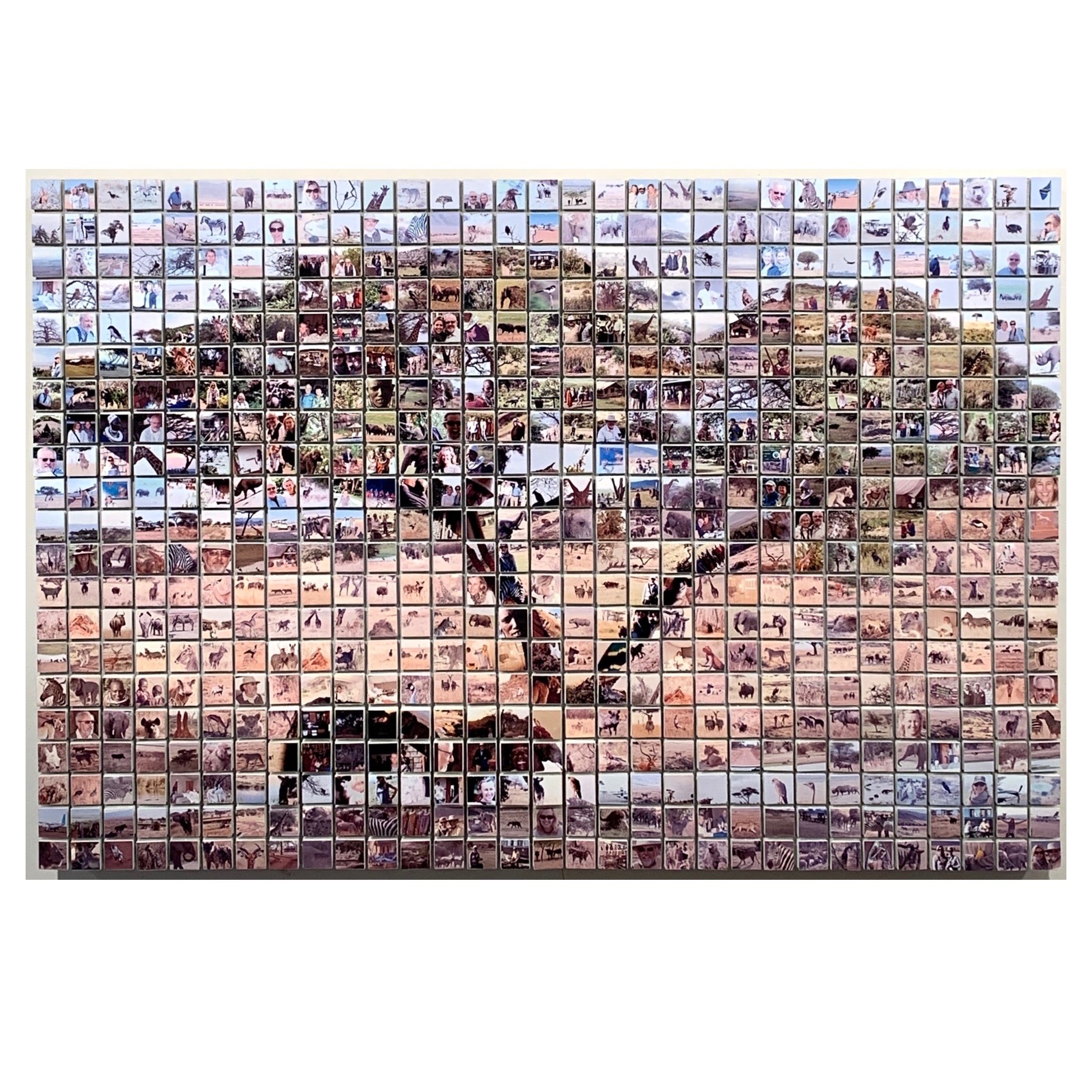 Africa for Squarespace page.JPG