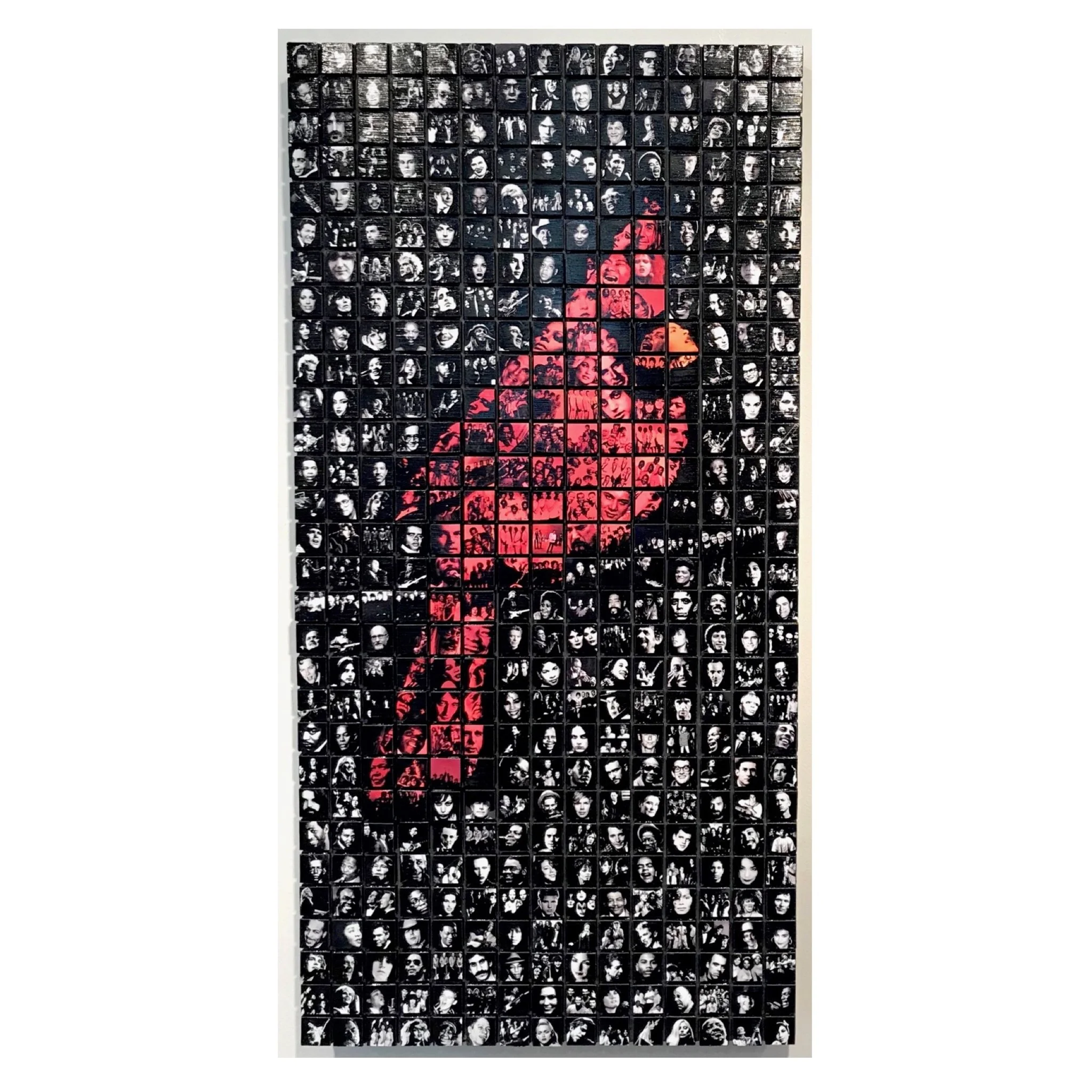 Songbird Black for Squarespace.JPG