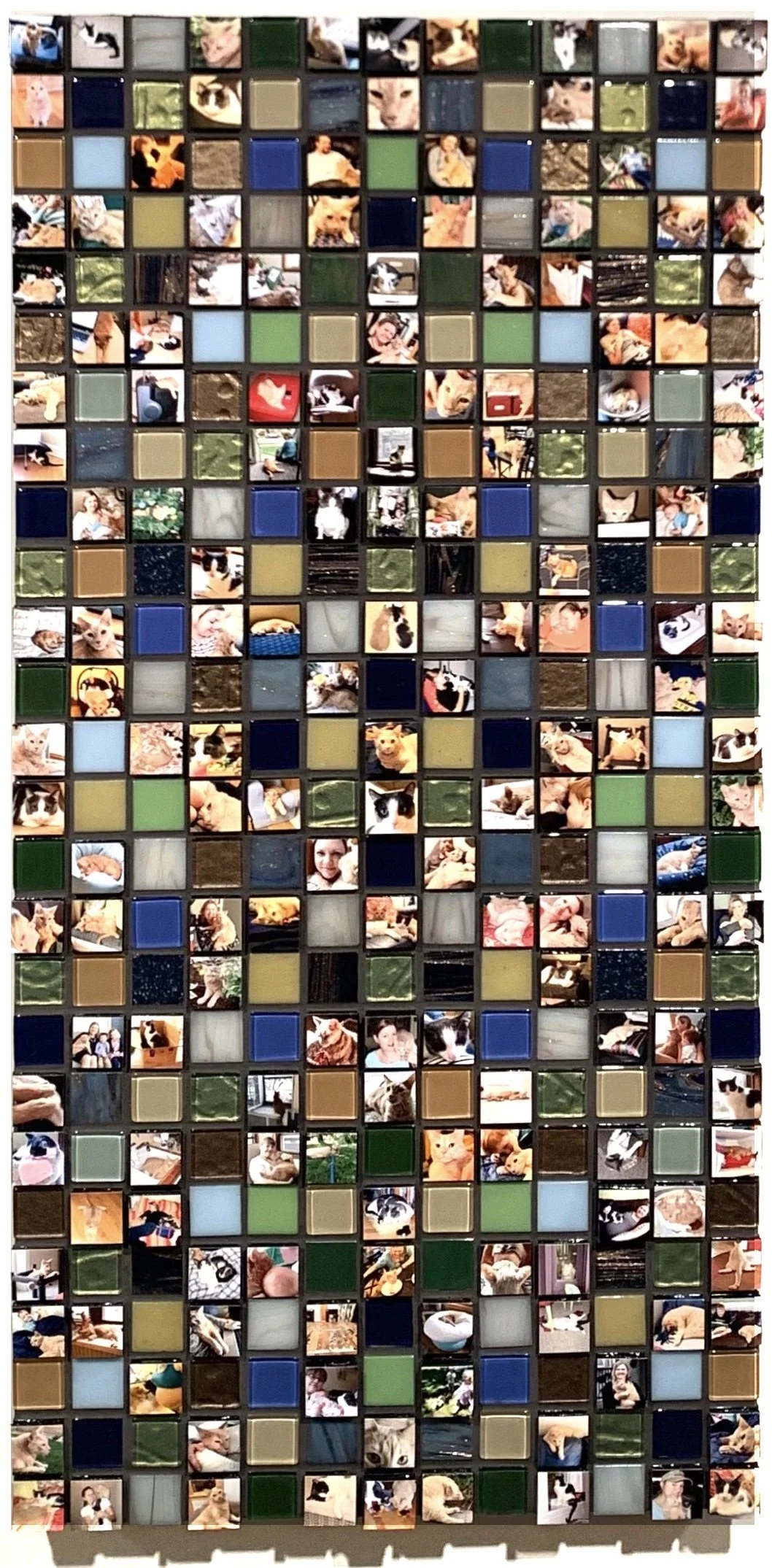 12_25_22_Emily Hartung Cats_SQUARE.JPG