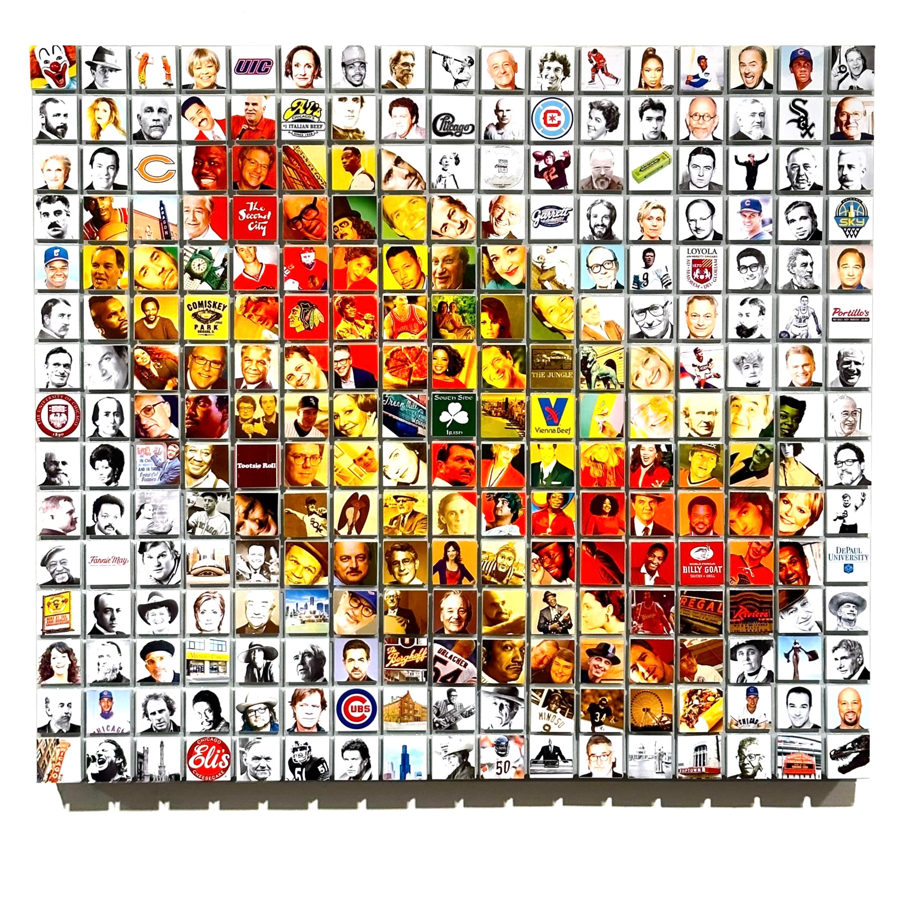 Chicago Style Hot Dog 2023 SQUARE copy.PNG