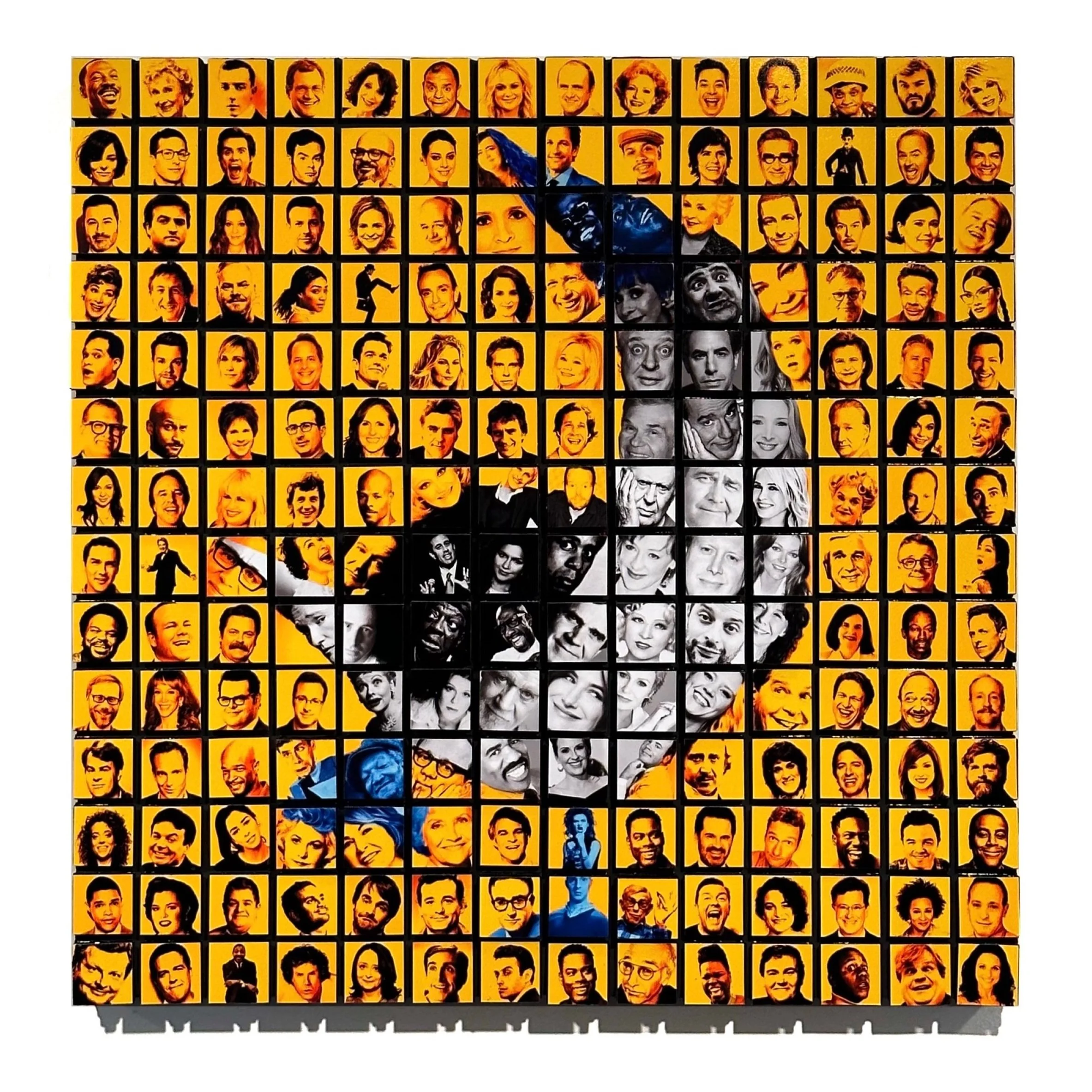 Blue-Footed Booby 12x12 ETSY.JPG