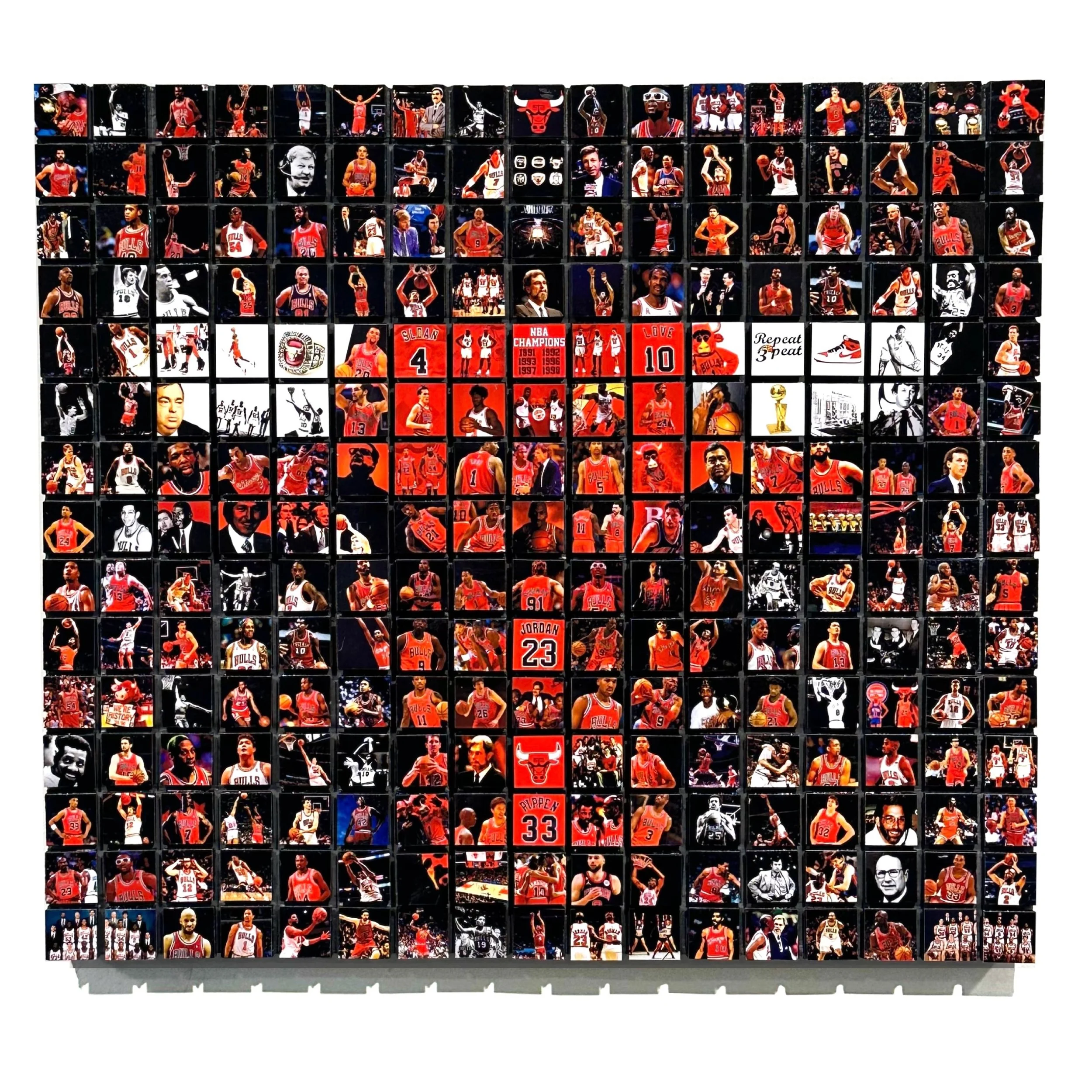 08_01_24_Go Bulls_SQUARE.jpg