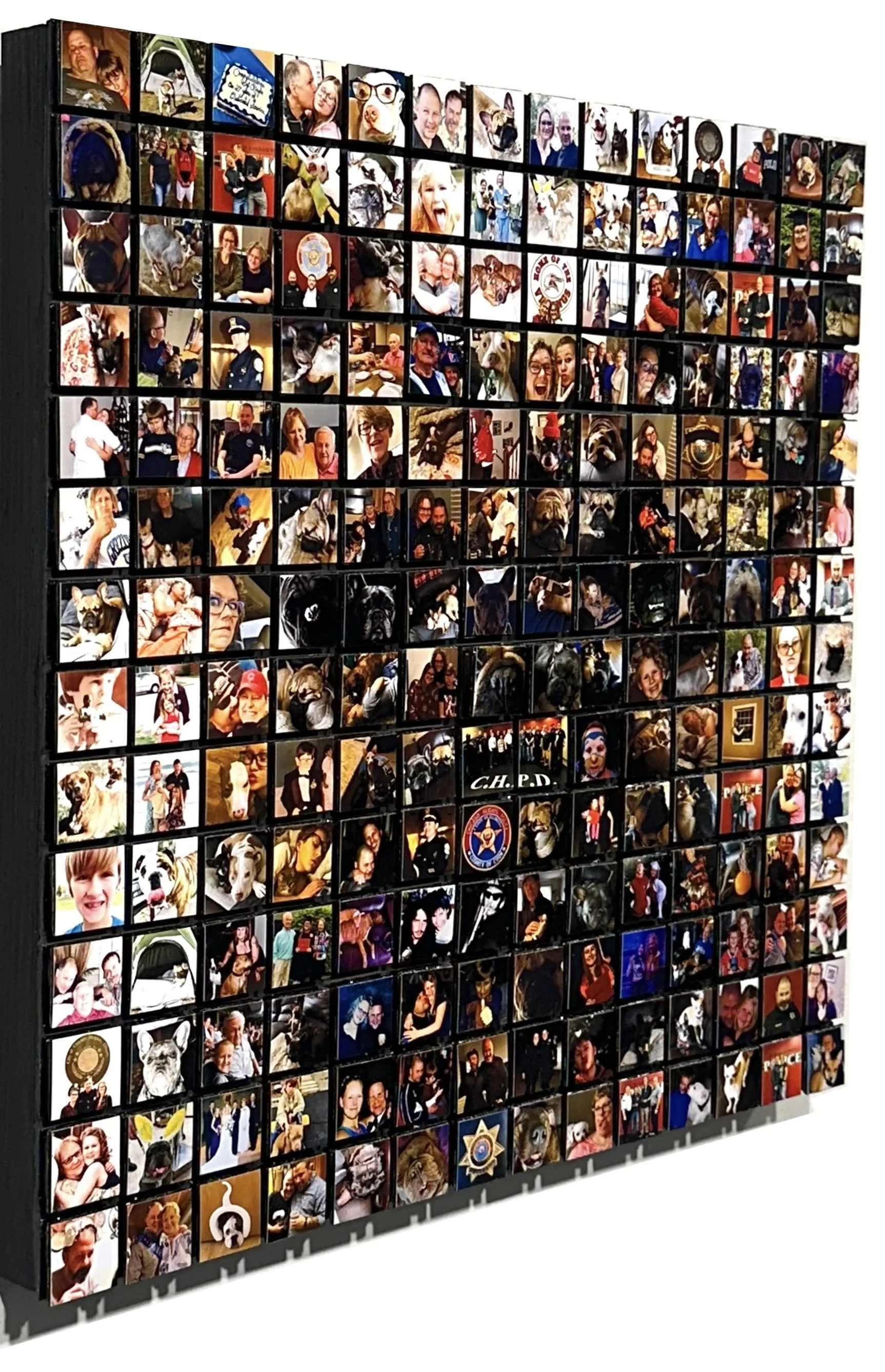 12_10_25_Tatoe_Dan Riegler Dog_02.jpg