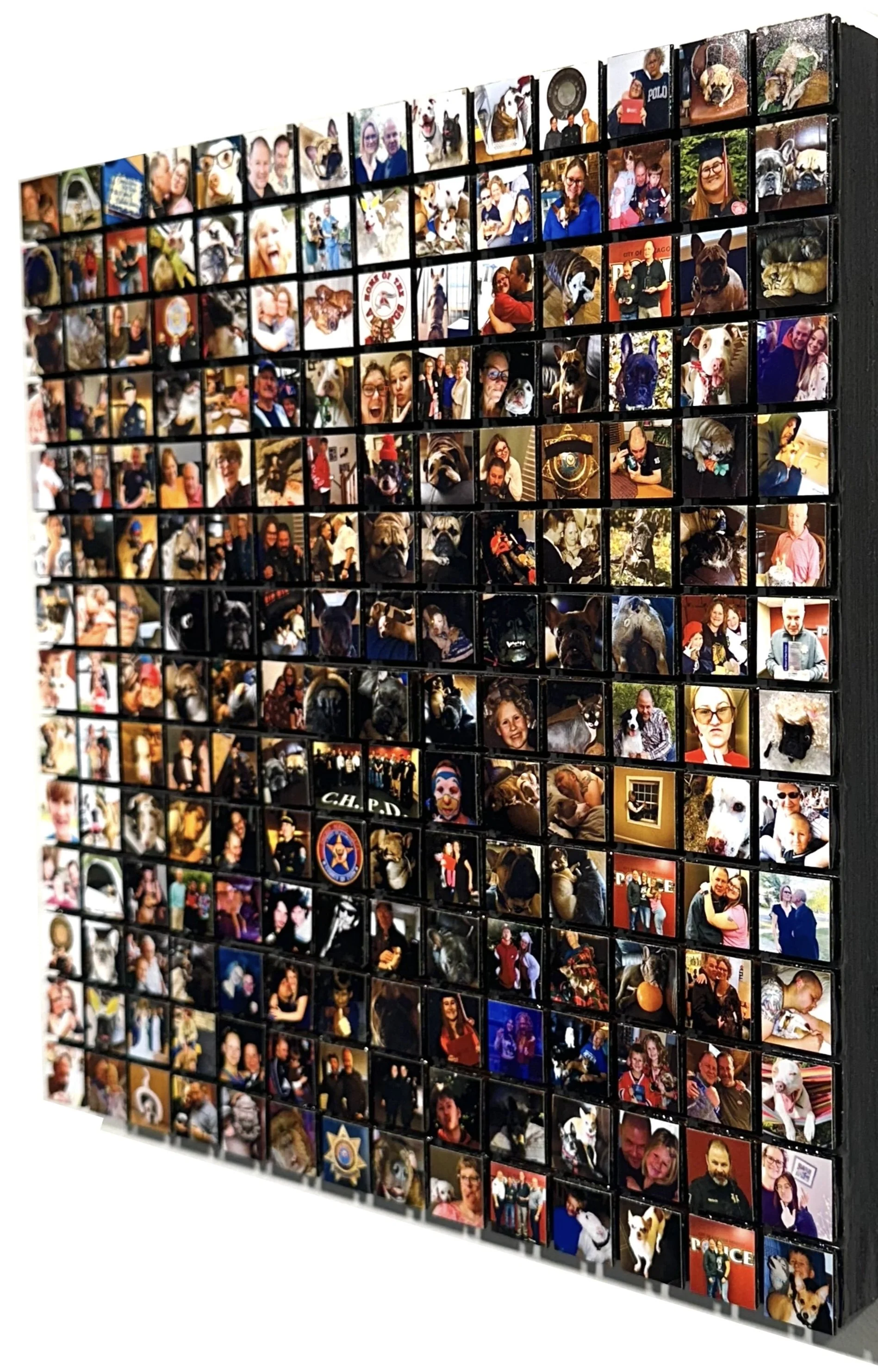 12_10_25_Tatoe_Dan Riegler Dog_04.jpg