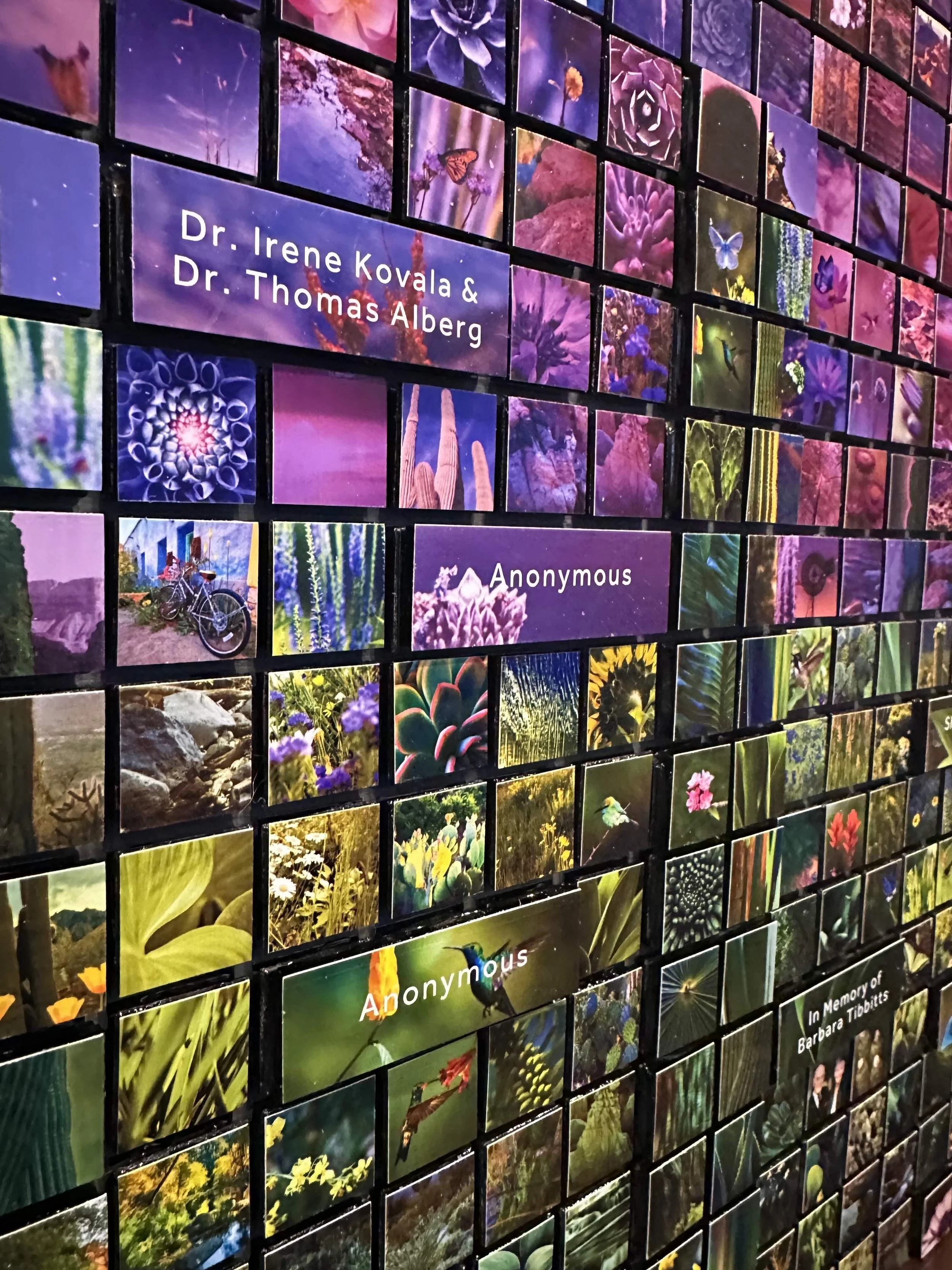 01_20_26_AZ Triptych_BannerBoswell:SunHealth_10.jpeg