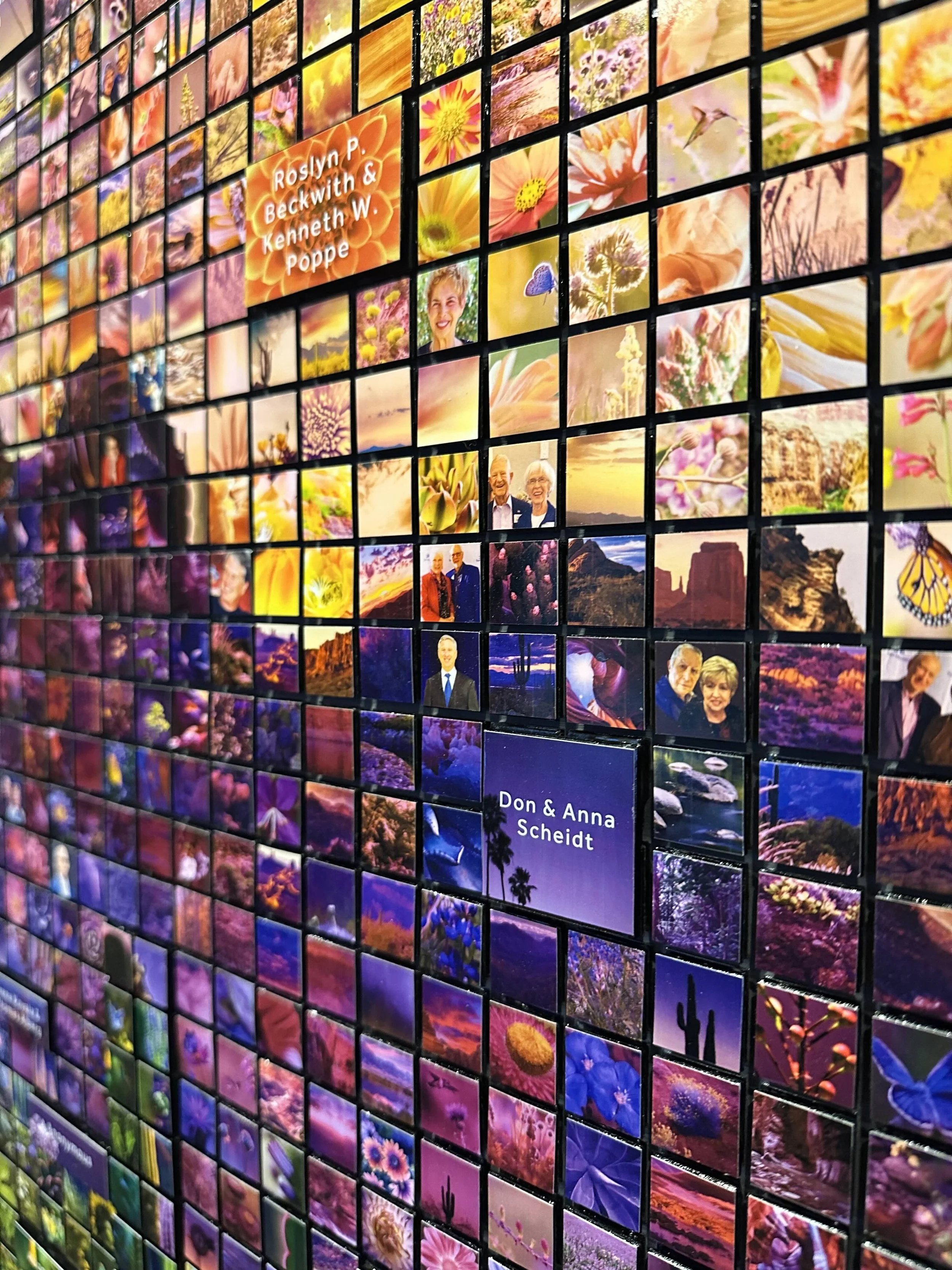 01_20_26_AZ Triptych_BannerBoswell:SunHealth_11.jpeg