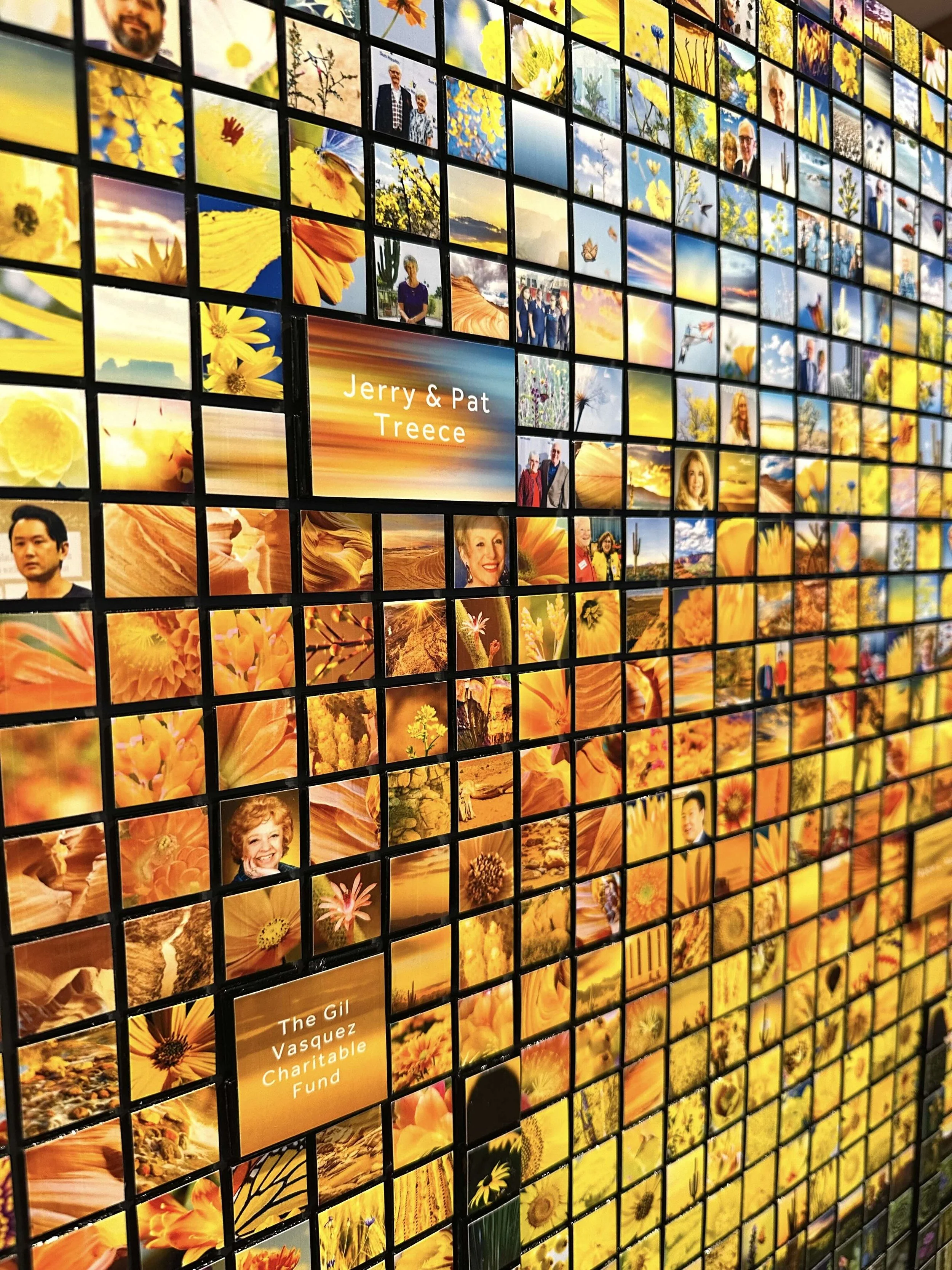 01_20_26_AZ Triptych_BannerBoswell:SunHealth_12.jpeg