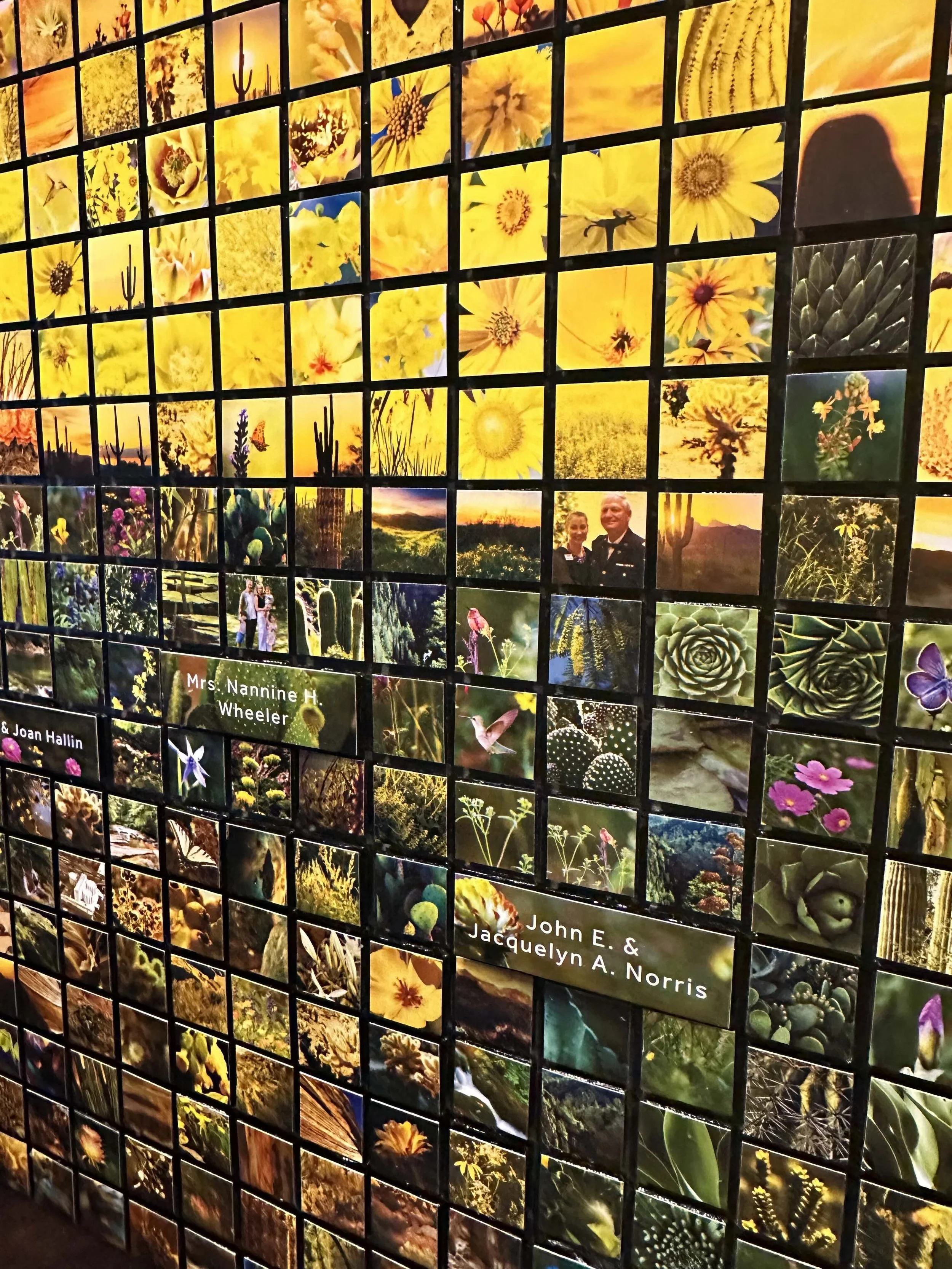 01_20_26_AZ Triptych_BannerBoswell:SunHealth_15.jpeg