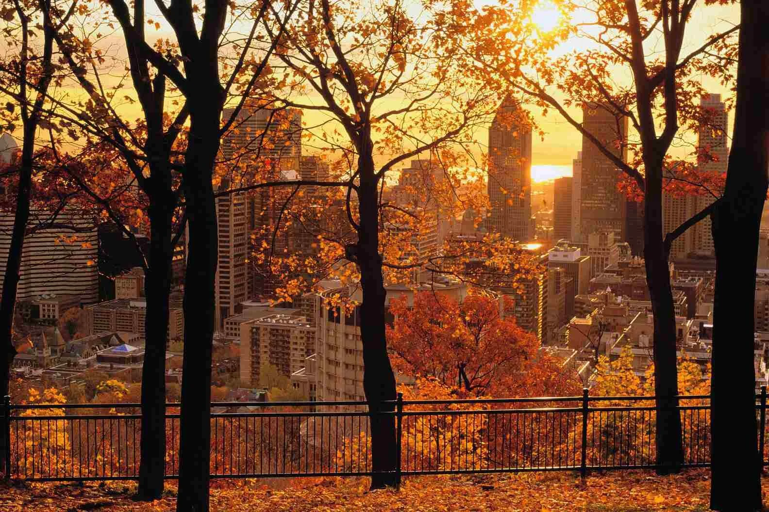 montreal-fall-foliage-colors-leaf-peeping-mount-royal-yves-marcoux-getty-56a641ee3df78cf7728c2341-1-5a0233849e9427003c1c795a.jpg