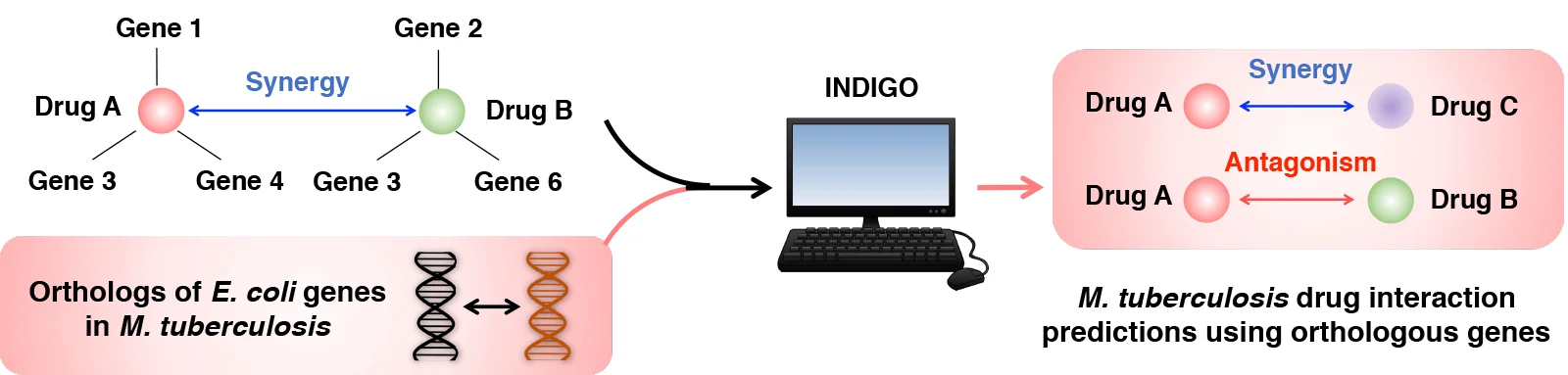 INDIGO