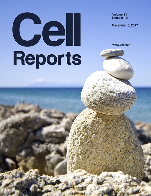 Modeling stem cell metabolism