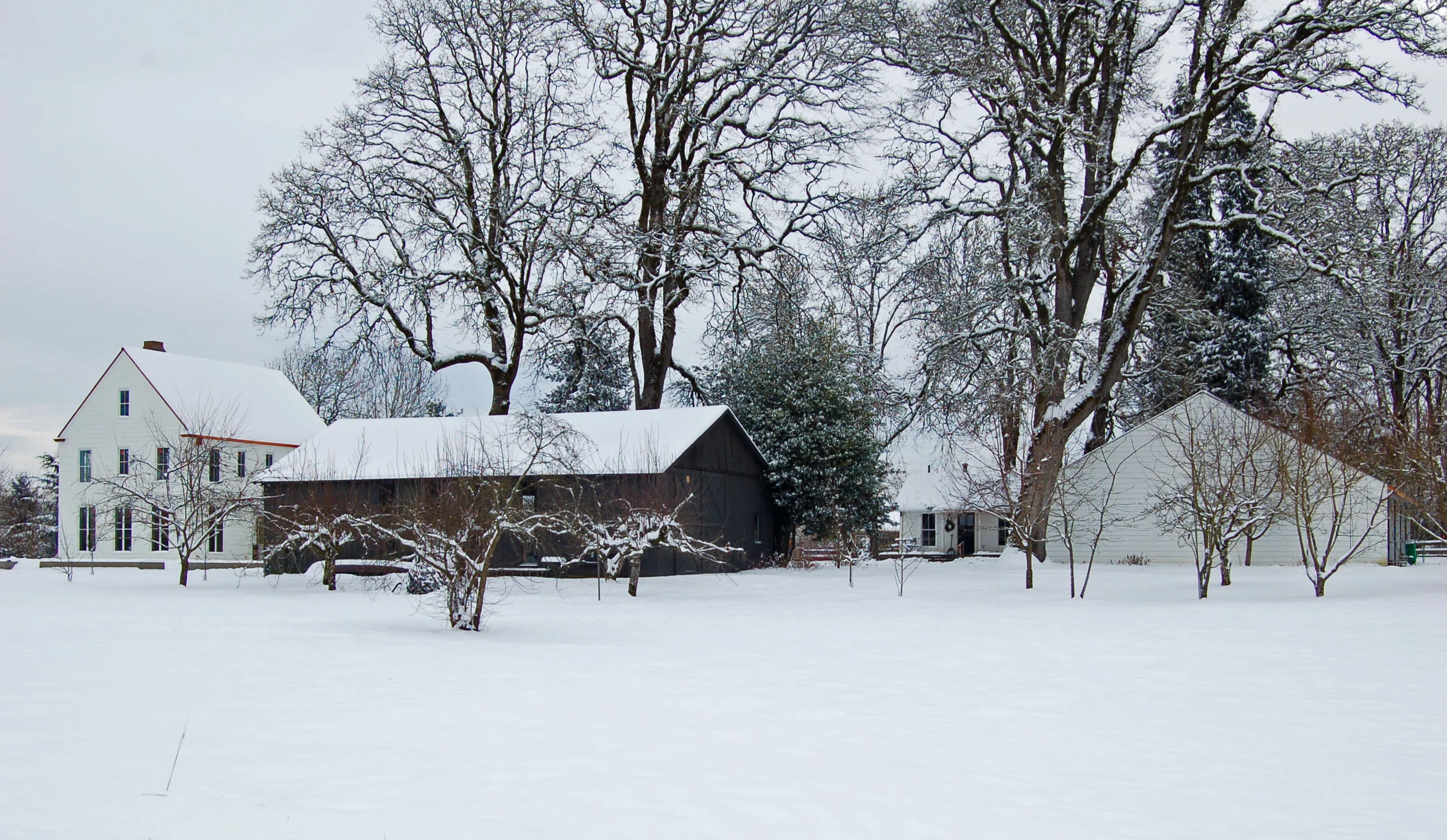 winter:quad.jpg