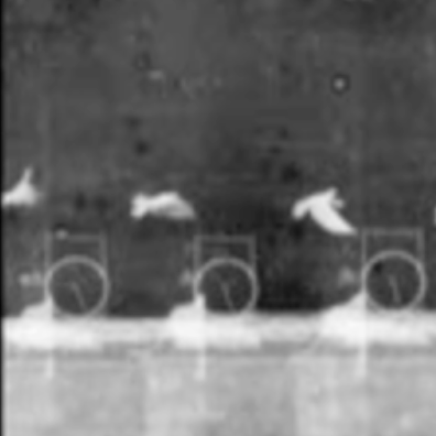 a time lapse photographic series by Etienne-Jules Marey