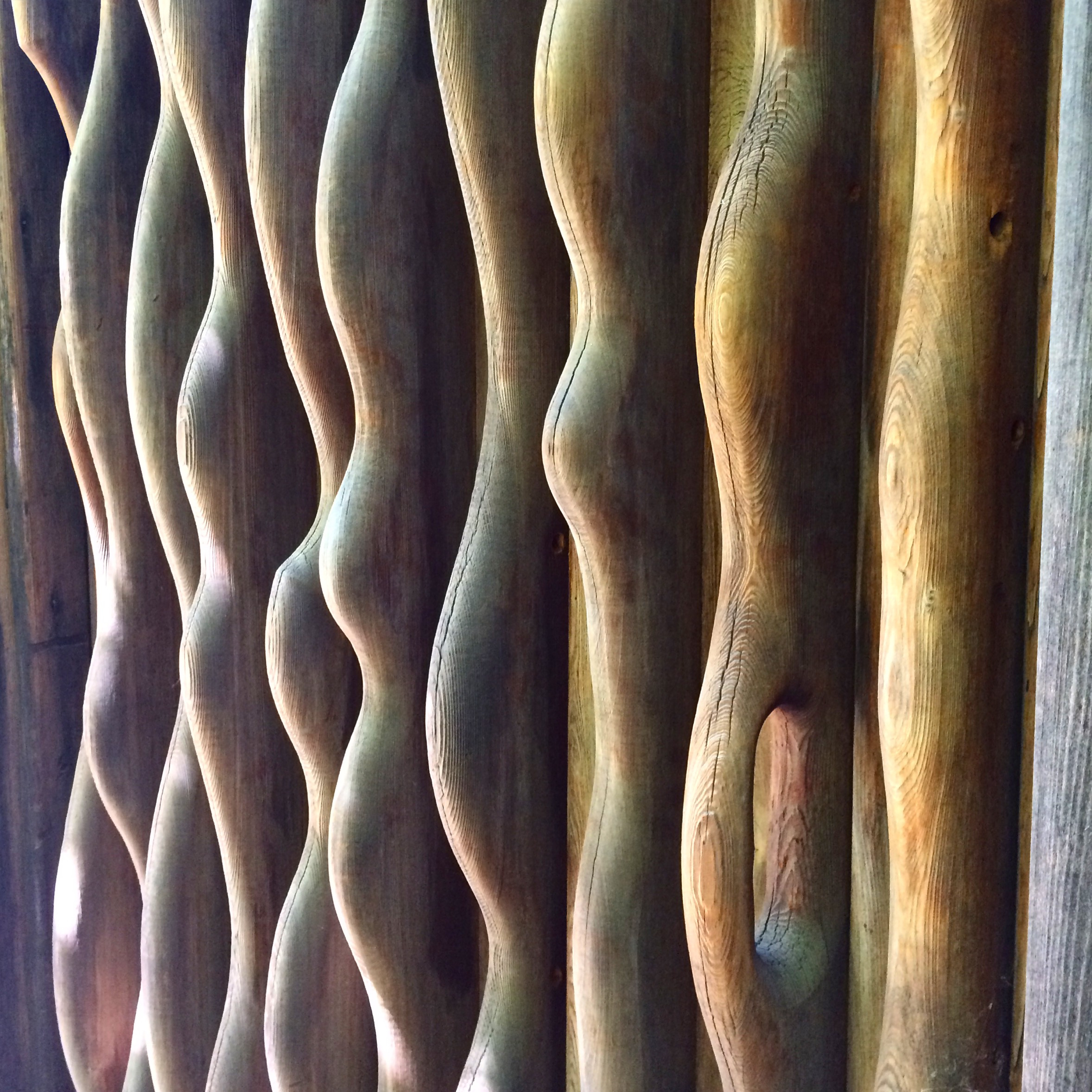another door, this one into a living room