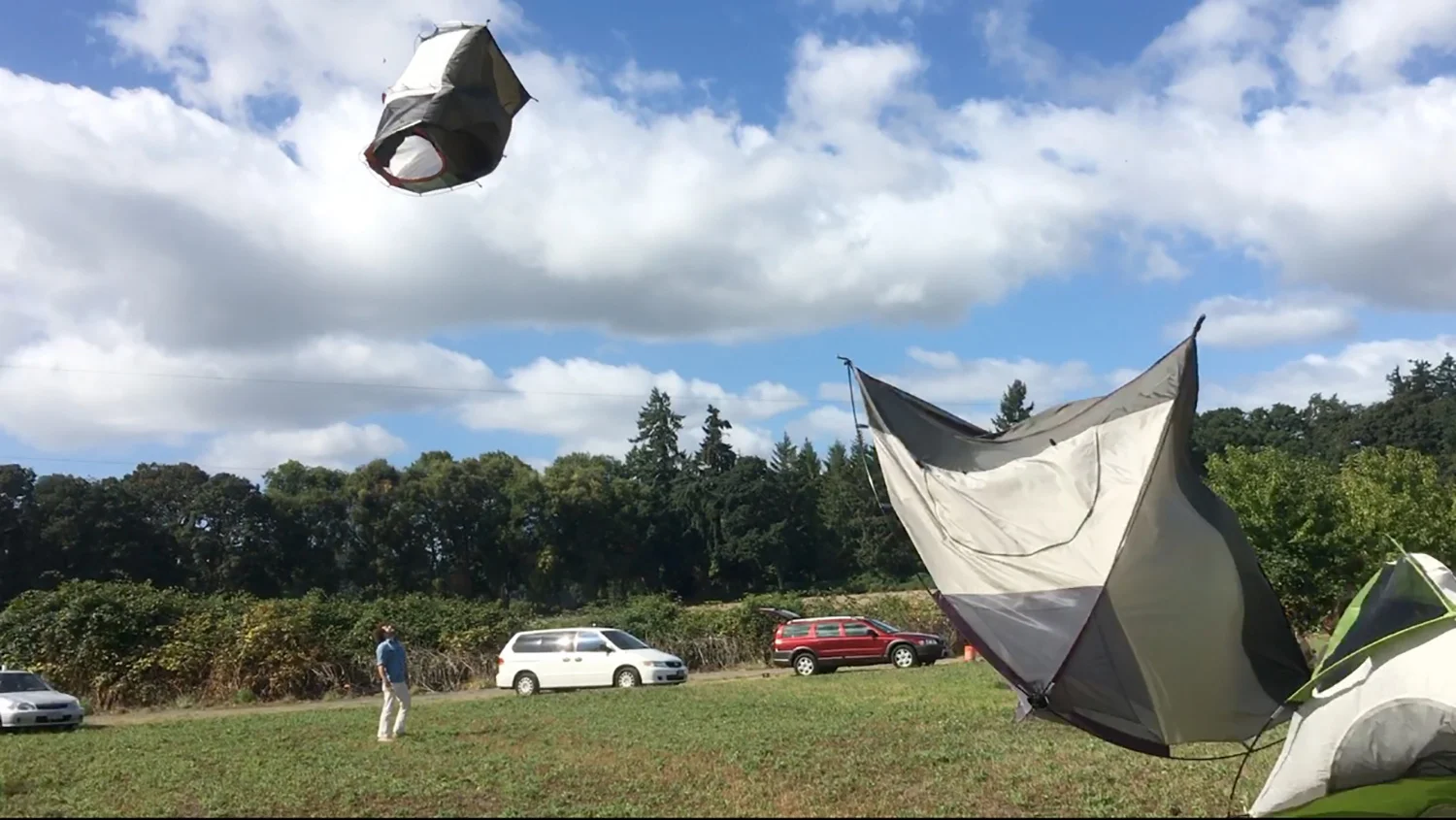 Pig Picking 2016 - 7.jpg