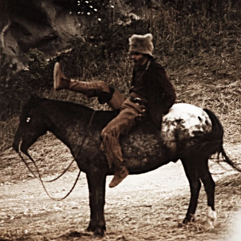 As "Squire Boone" in
