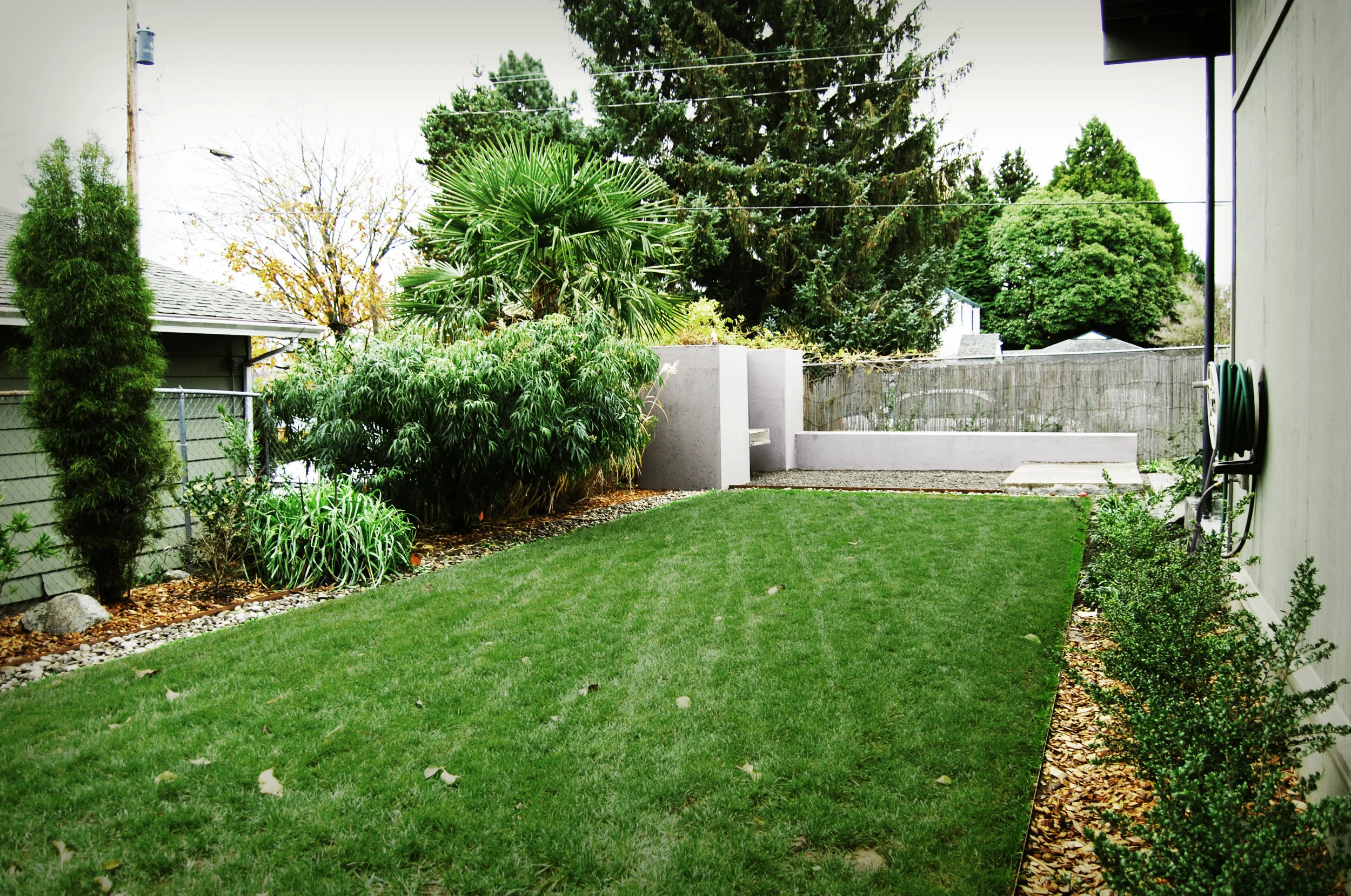 COCH_backlawn.jpg