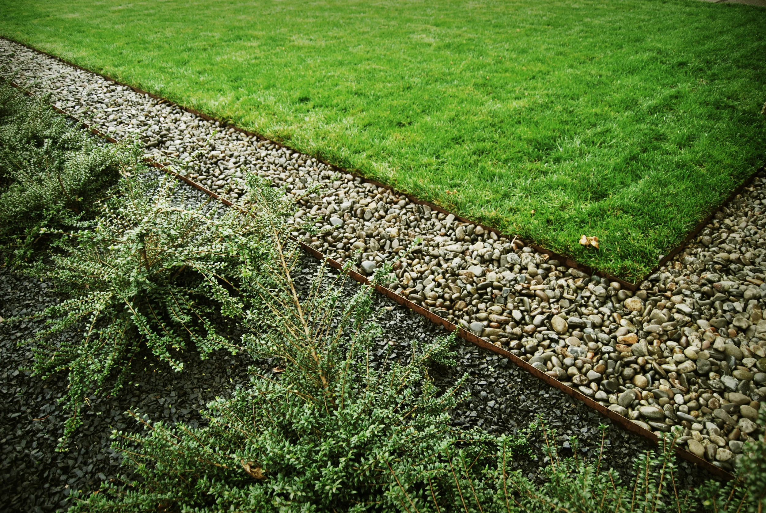 COCH_edgedetail.jpg