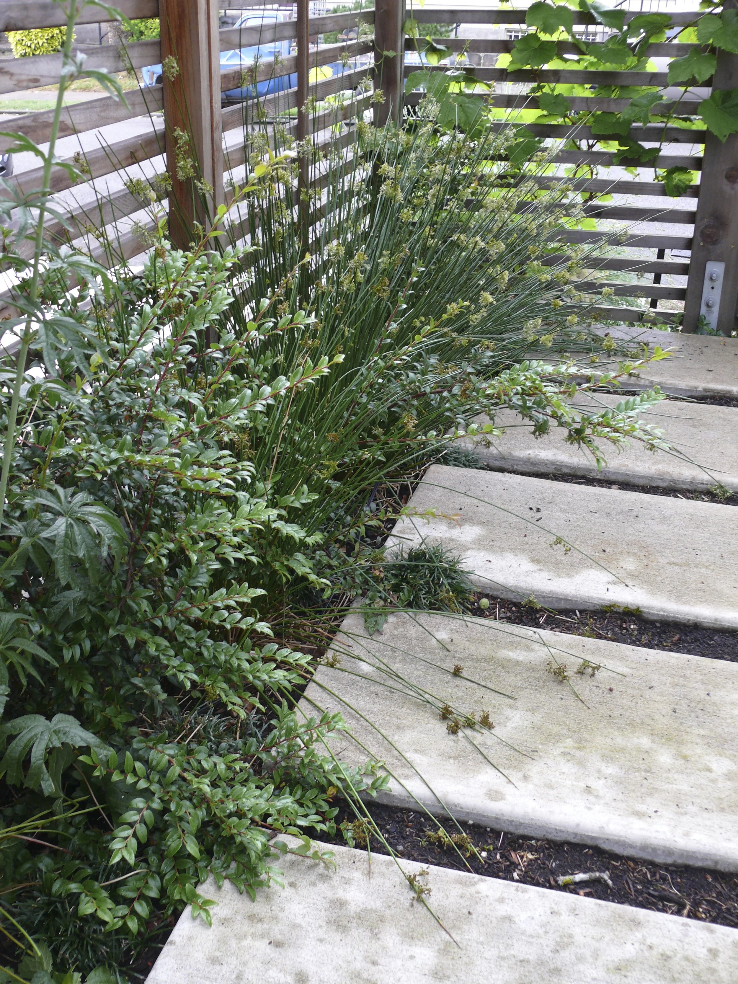 P1250773.jpg