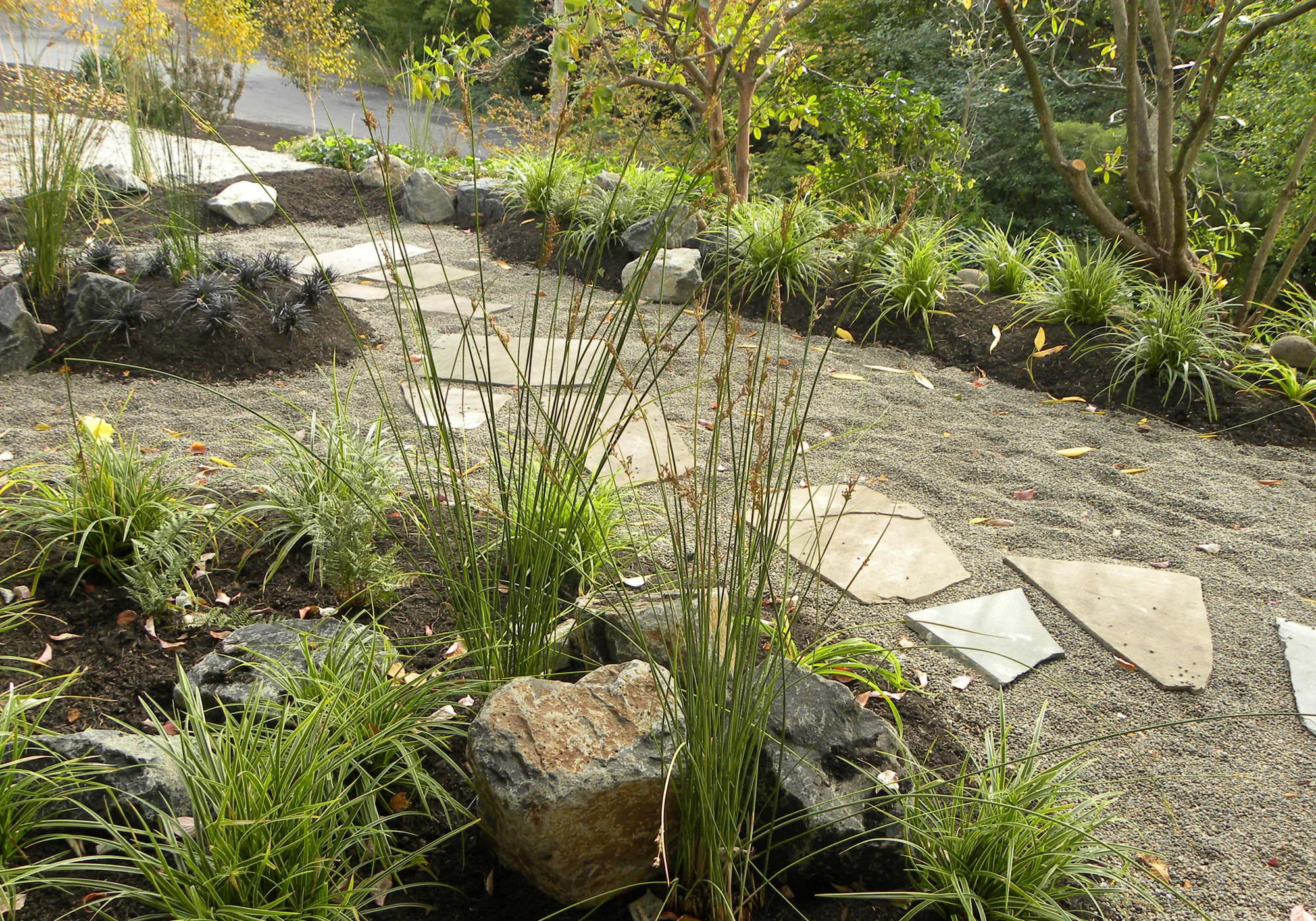 TWO_entrance-path.jpg
