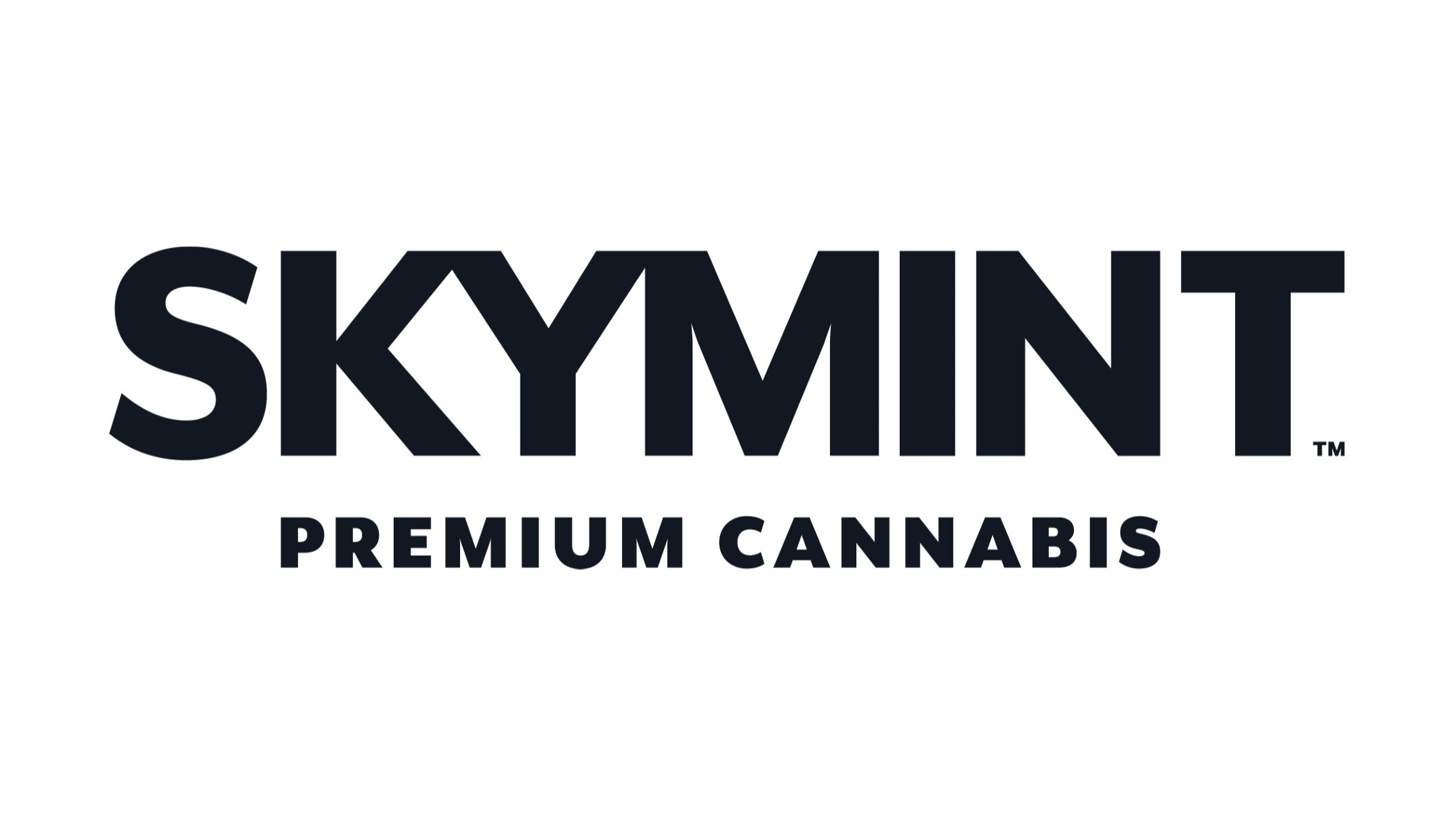 2023+Sponsor+-+Skymint+Logo.jpg