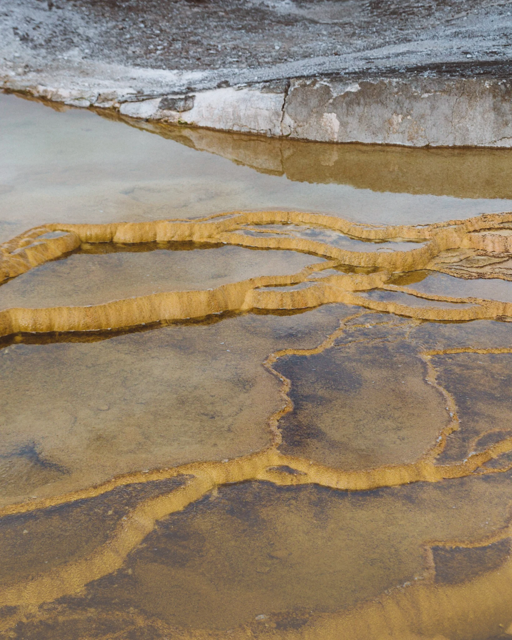 USAROADTRIP_YELLOWSTONE (1 of 1)-3.jpg