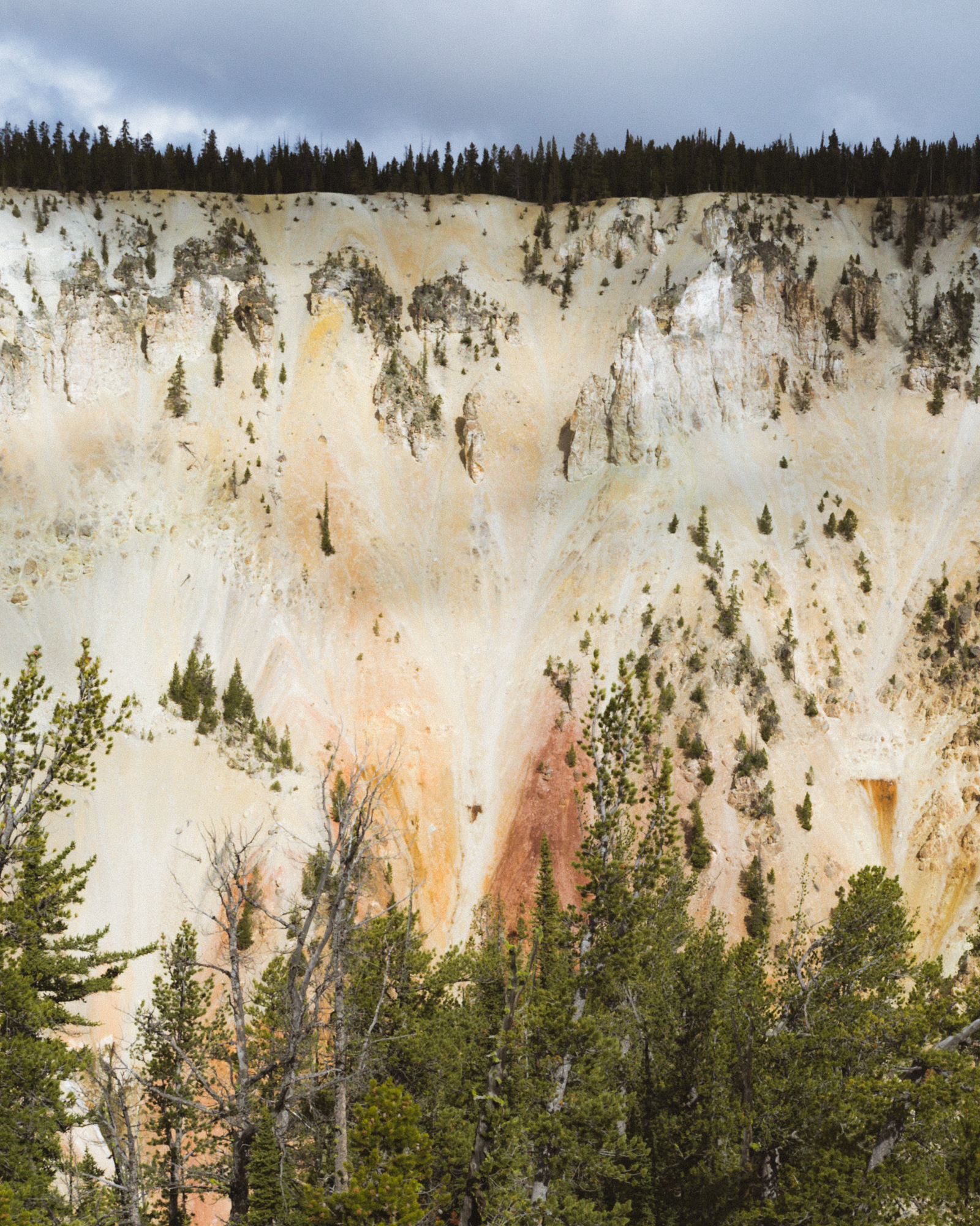 ROADTRIP_YELLOWSTONE_OCTOBER2018 (1 of 1)-9.jpg