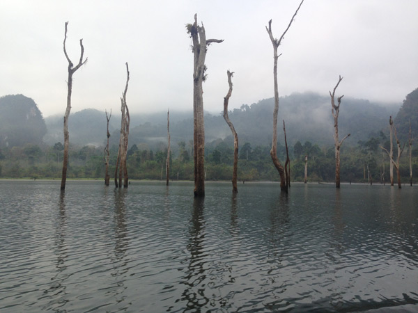  Khao Sok national park. A man made lake in Thailand. 