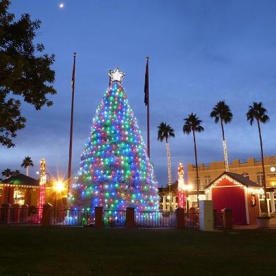 Chandler Tumbleweed Tree