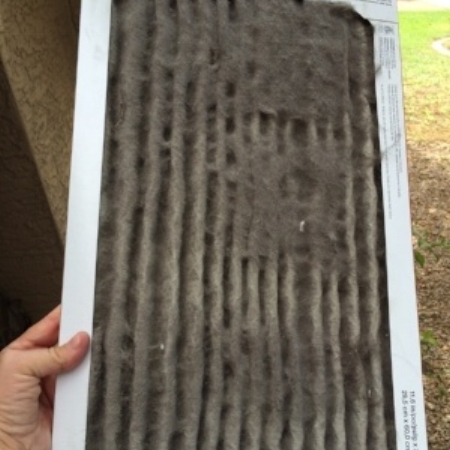 If your a/c filter looks like a Wookie exploded in it, you might need to change it more frequently.
