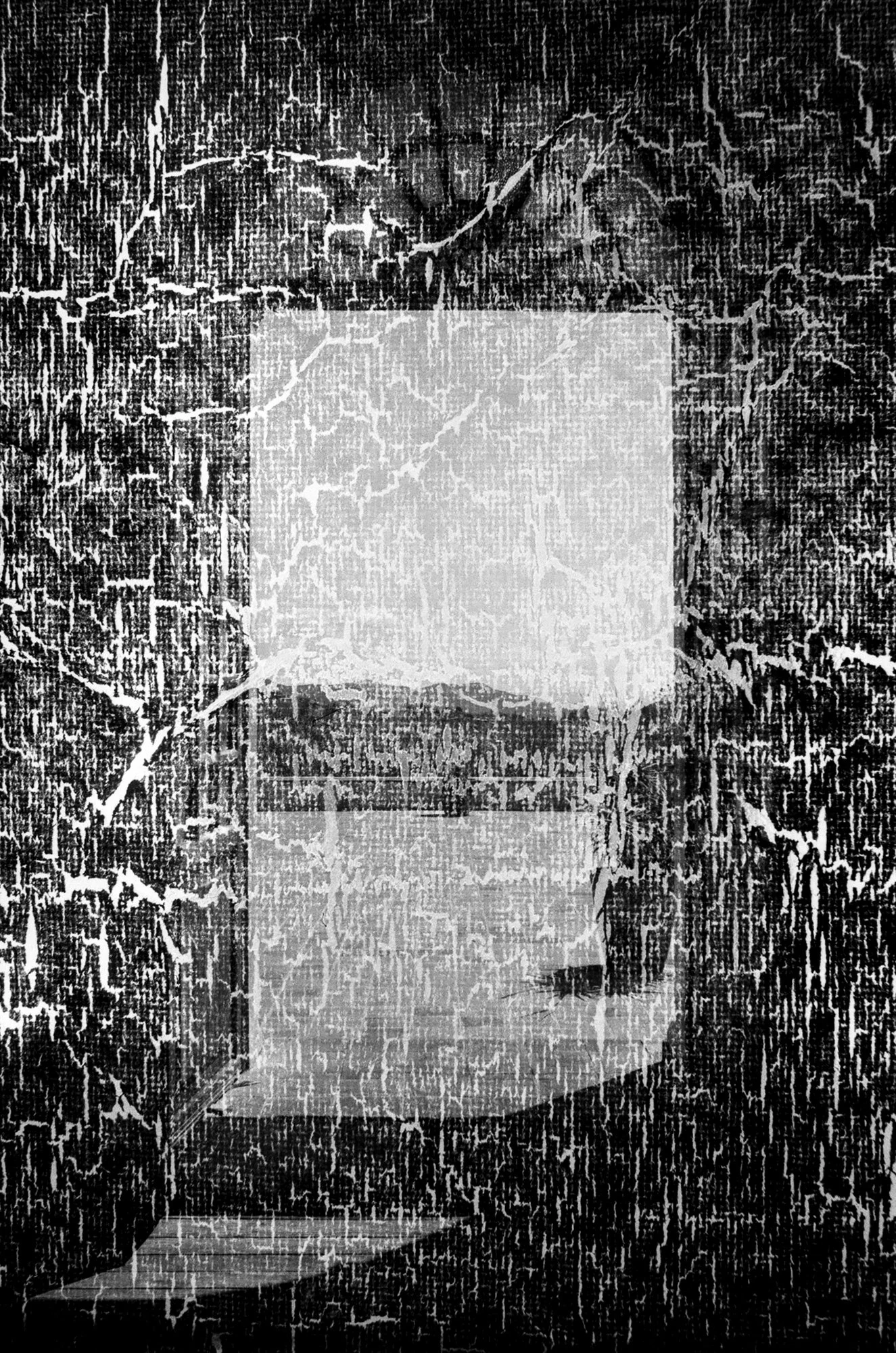 nolansepter bw double exposures-2.jpg