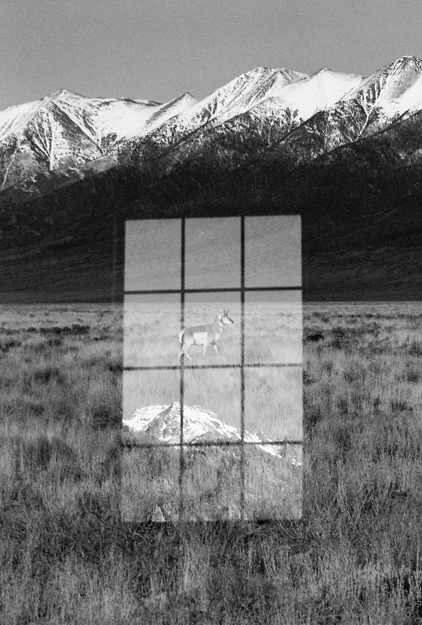 nolansepter bw double exposures-3.jpg