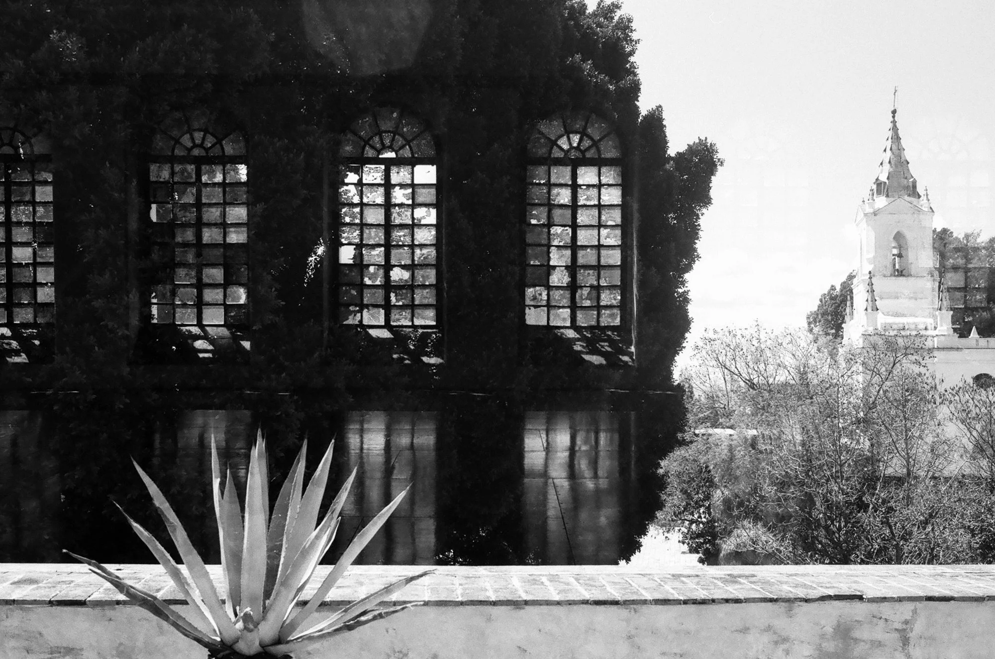 nolansepter bw double exposures-7.jpg