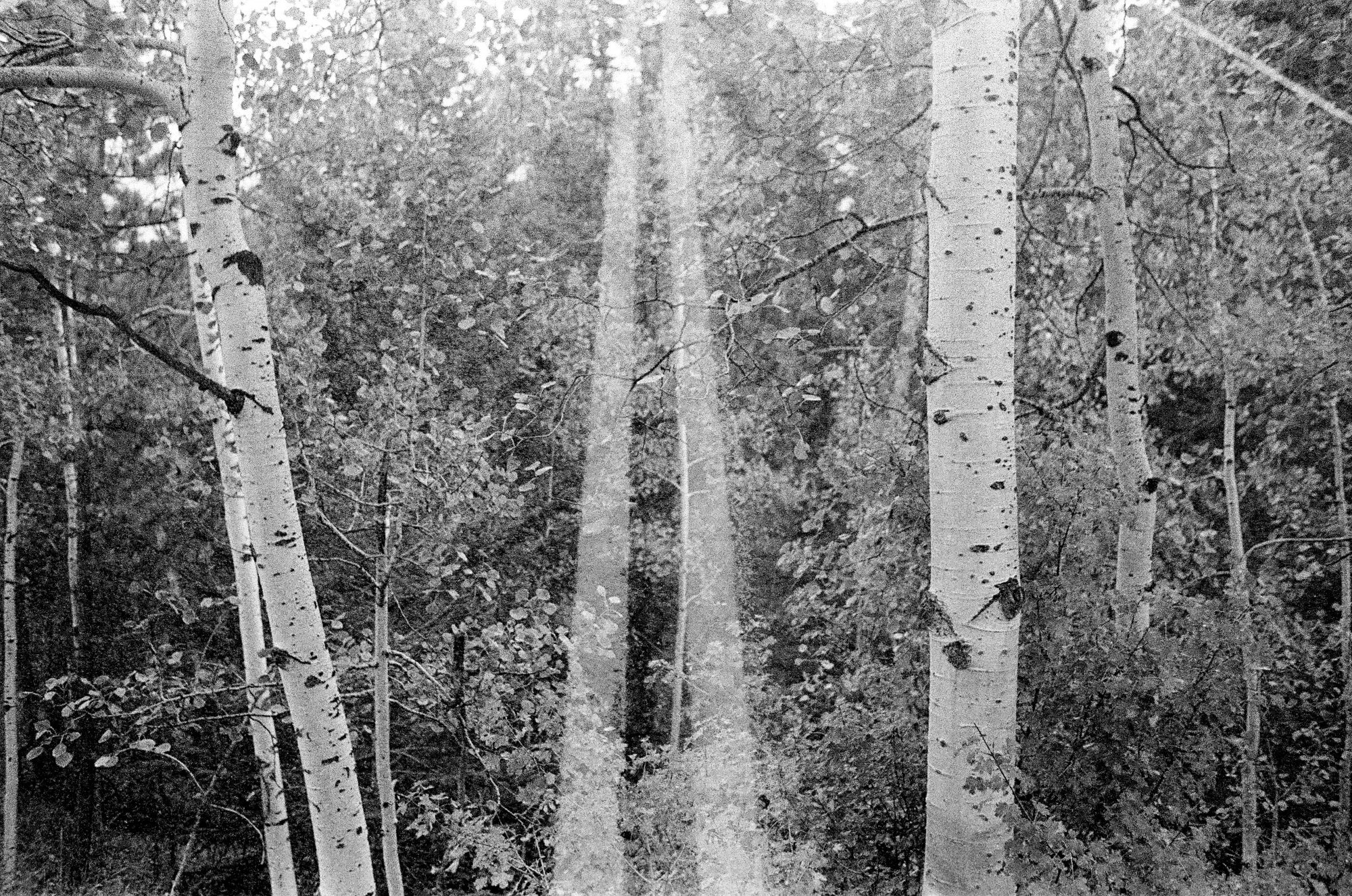 nolansepter bw double exposures-18.jpg